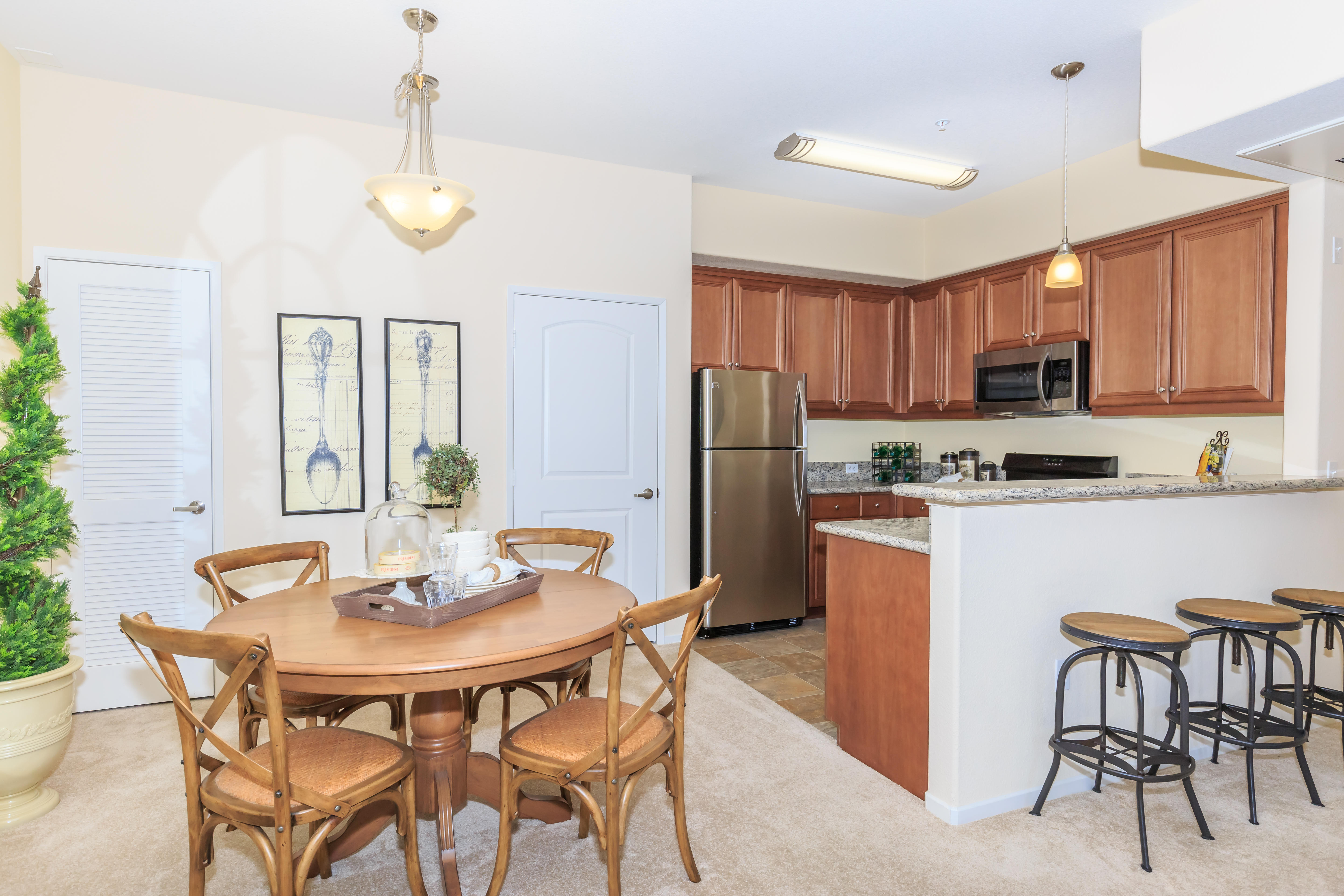 Apartment Amenities