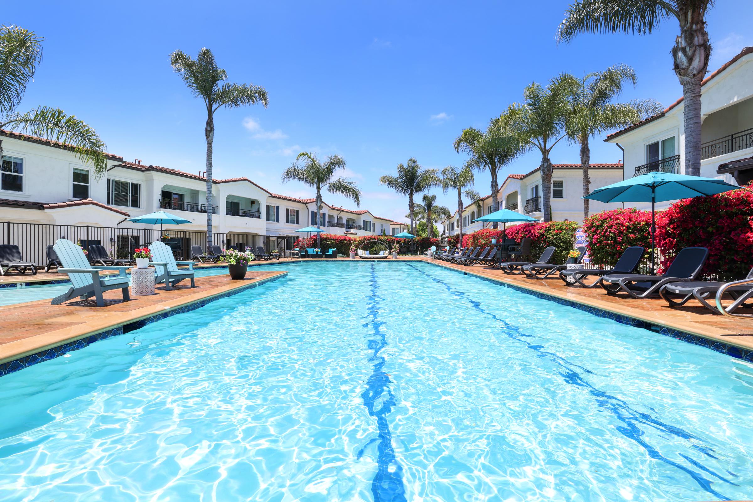 A crystal-clear swimming pool surrounded by palm trees and colorful flower bushes. Lounge chairs and umbrellas are set up on the poolside, with residential buildings visible in the background under a bright blue sky.