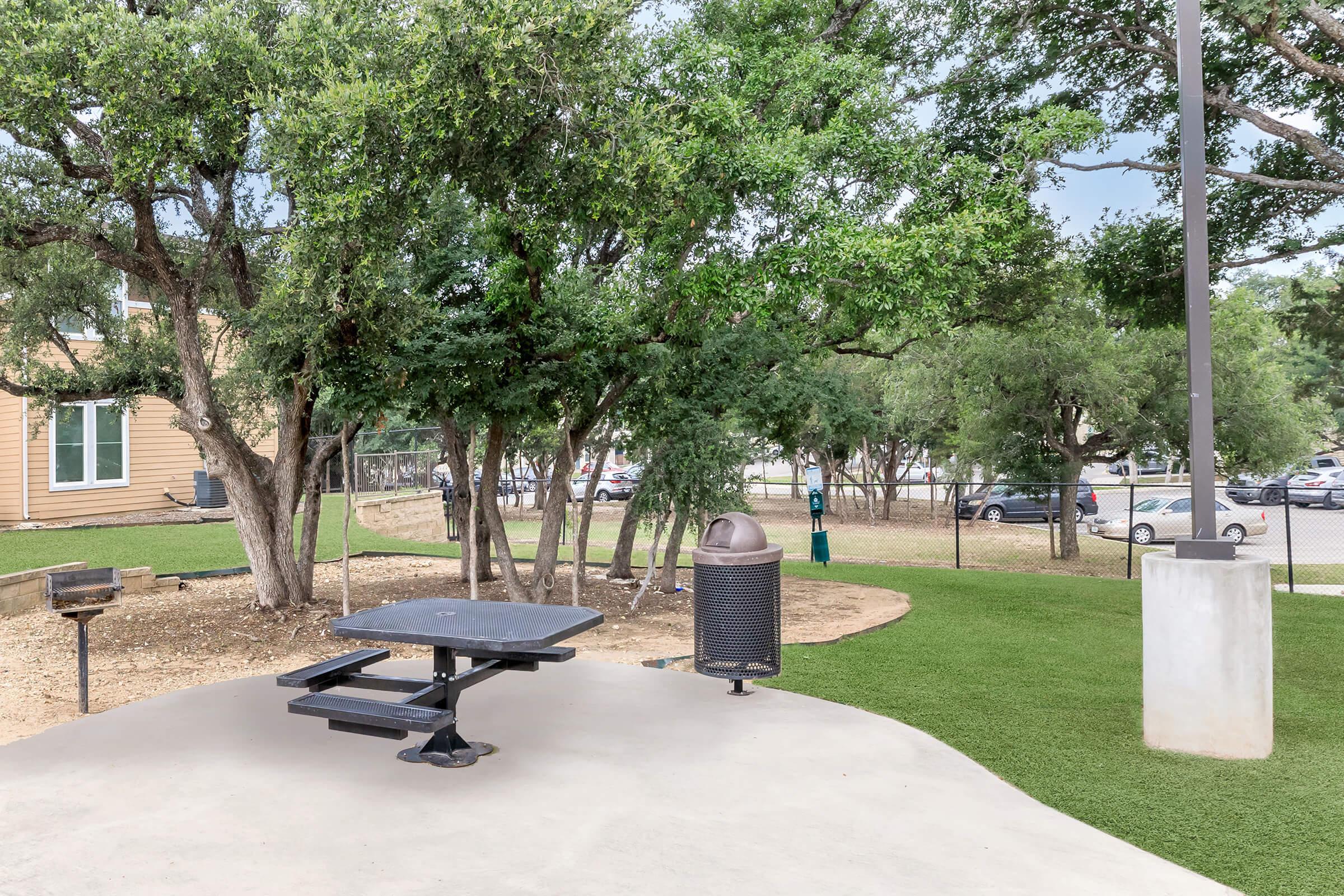 a park bench next to a tree