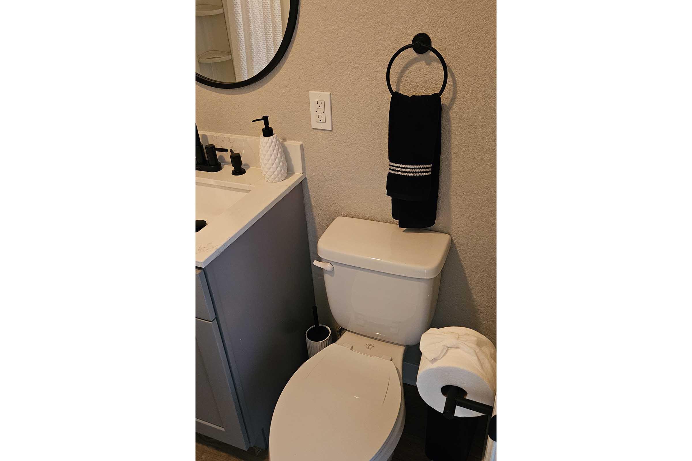A clean bathroom scene featuring a white toilet next to a gray vanity. The vanity has a circular mirror above it. A black towel hangs on a circular towel rack, and there are toiletries on the vanity. A black trash can and a white toilet paper roll are visible in the corner, giving the space a modern and tidy appearance.