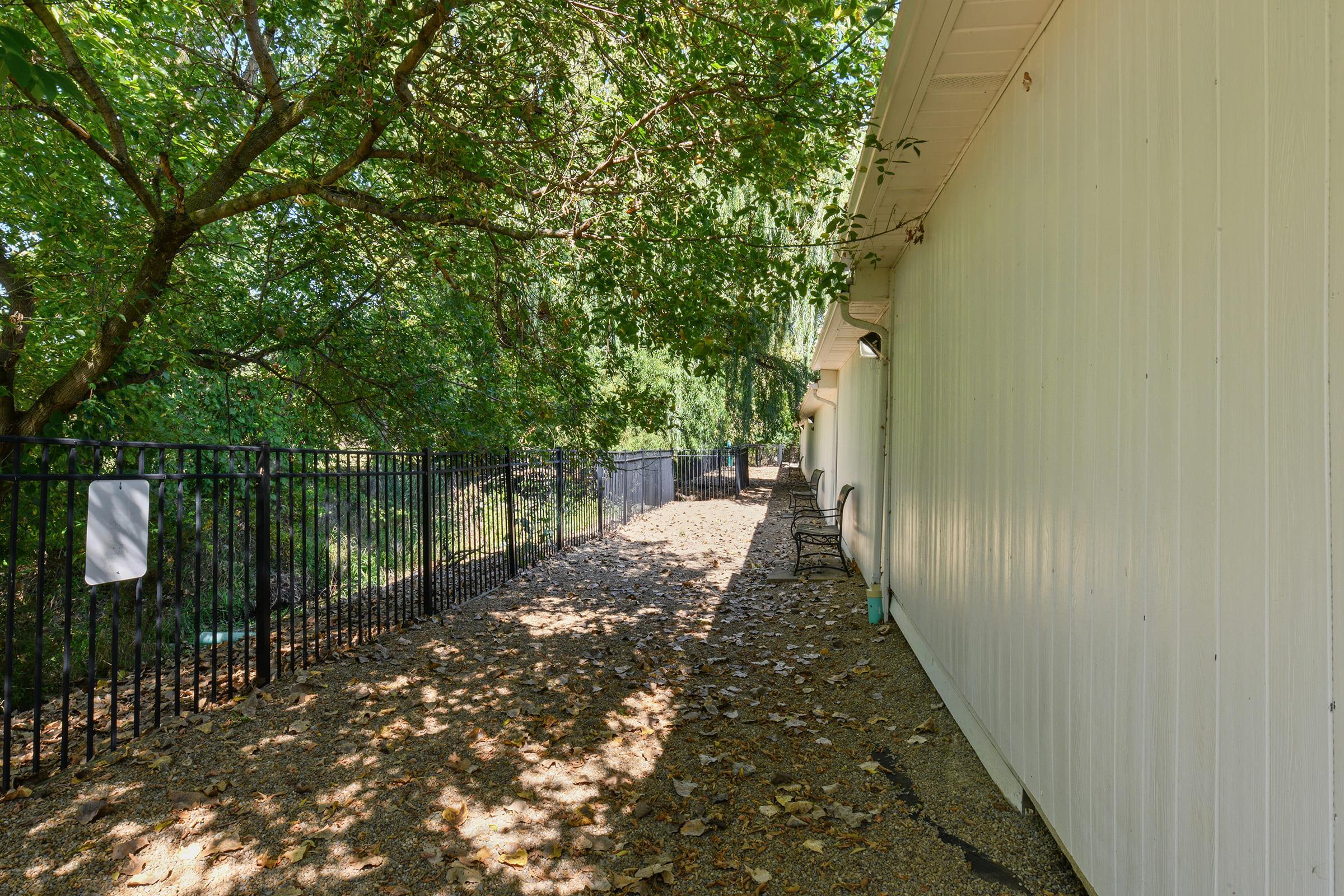 A narrow pathway lined with trees, leading alongside a fence. The ground is covered with fallen leaves, and there are a few empty benches under the shade. Sunlight filters through the branches, creating a serene atmosphere in a natural setting.