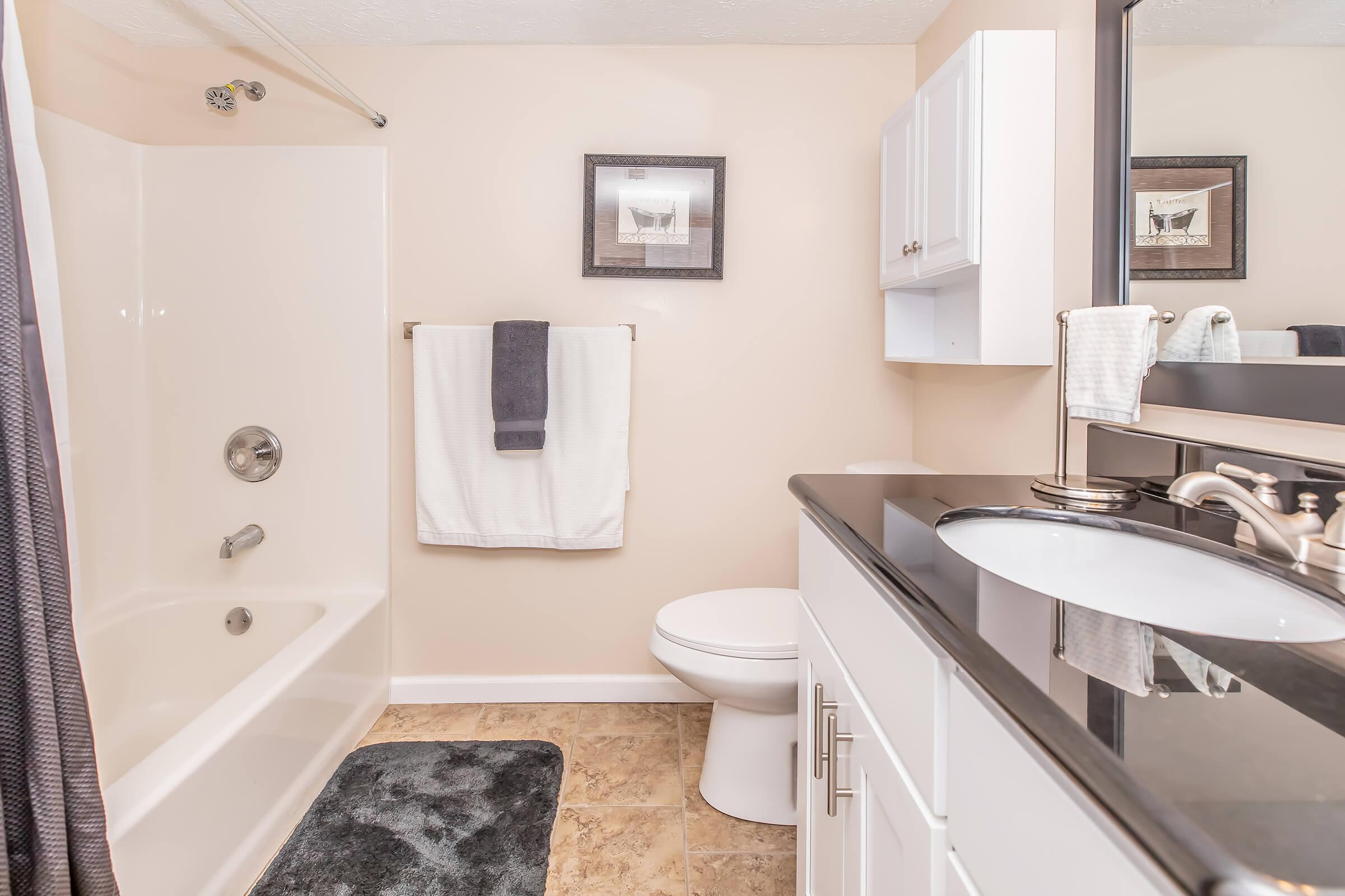 A clean and modern bathroom featuring a bathtub with a shower curtain, a white toilet, a dark countertop with a sink, and a mirror. The walls are a light beige color, and it includes a towel rack with two towels and a decorative framed picture on the wall. The flooring is tiled.