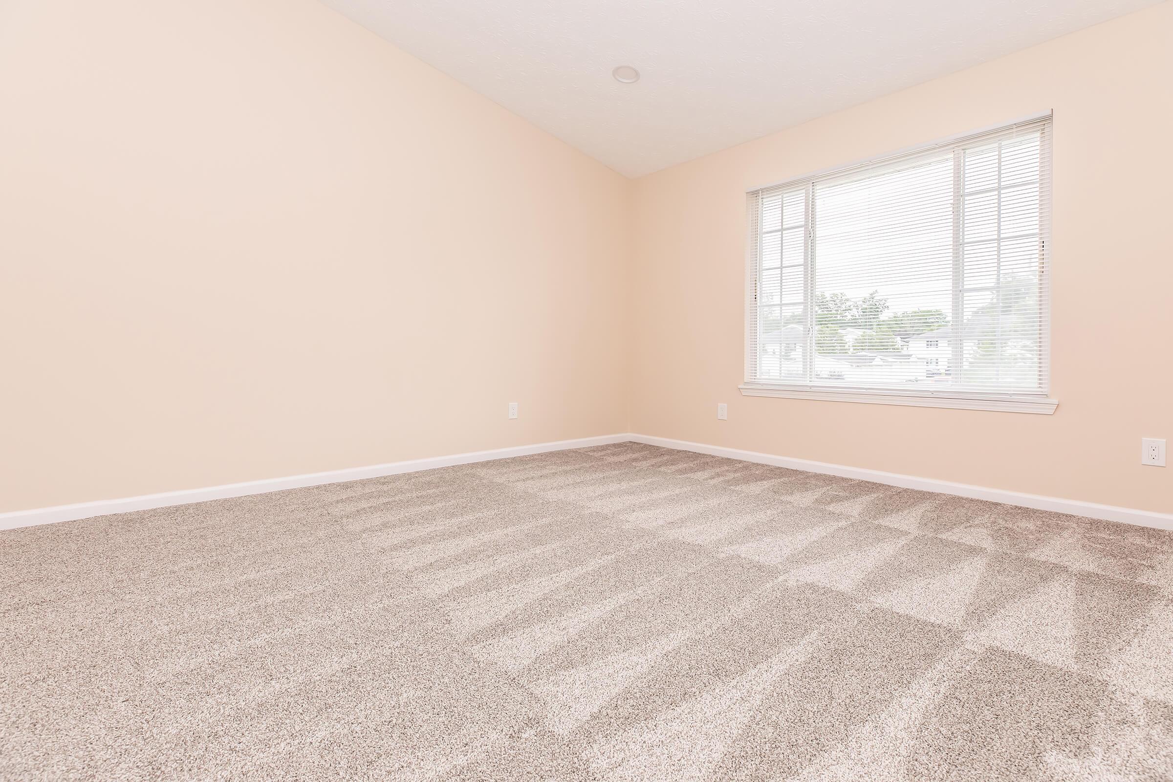 A spacious, empty room with light peach-colored walls and a window adorned with blinds. The floor is covered in plush, light beige carpet, creating an inviting atmosphere with plenty of natural light streaming in. The room is designed for flexibility in use, whether as a living space or office.