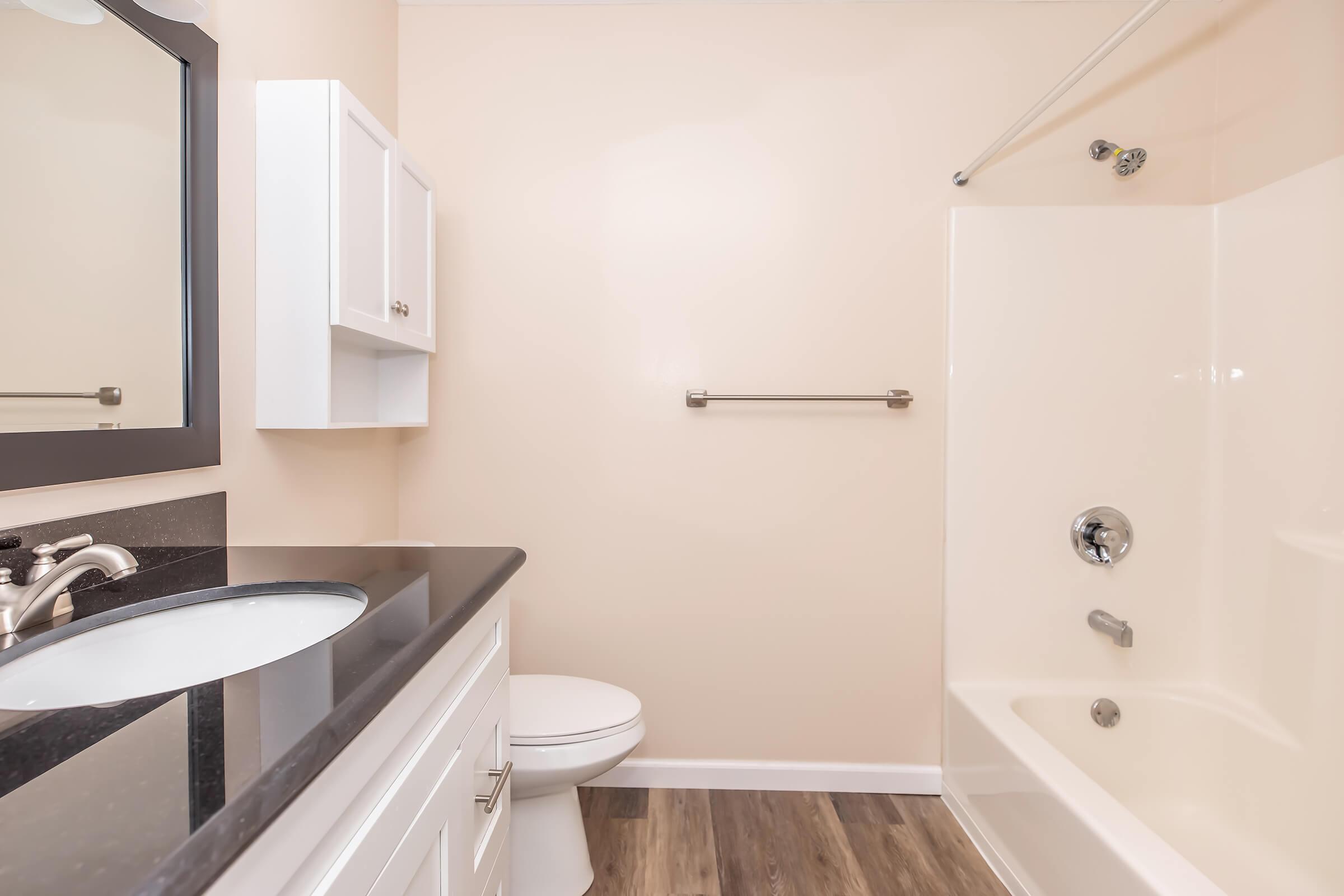 A clean bathroom featuring a white vanity with a dark countertop, a large mirror, a toilet, and a bathtub with a shower. The walls are painted a light beige, and there is a towel bar and a small cabinet for storage. The floor has a wood-like appearance, adding warmth to the space.