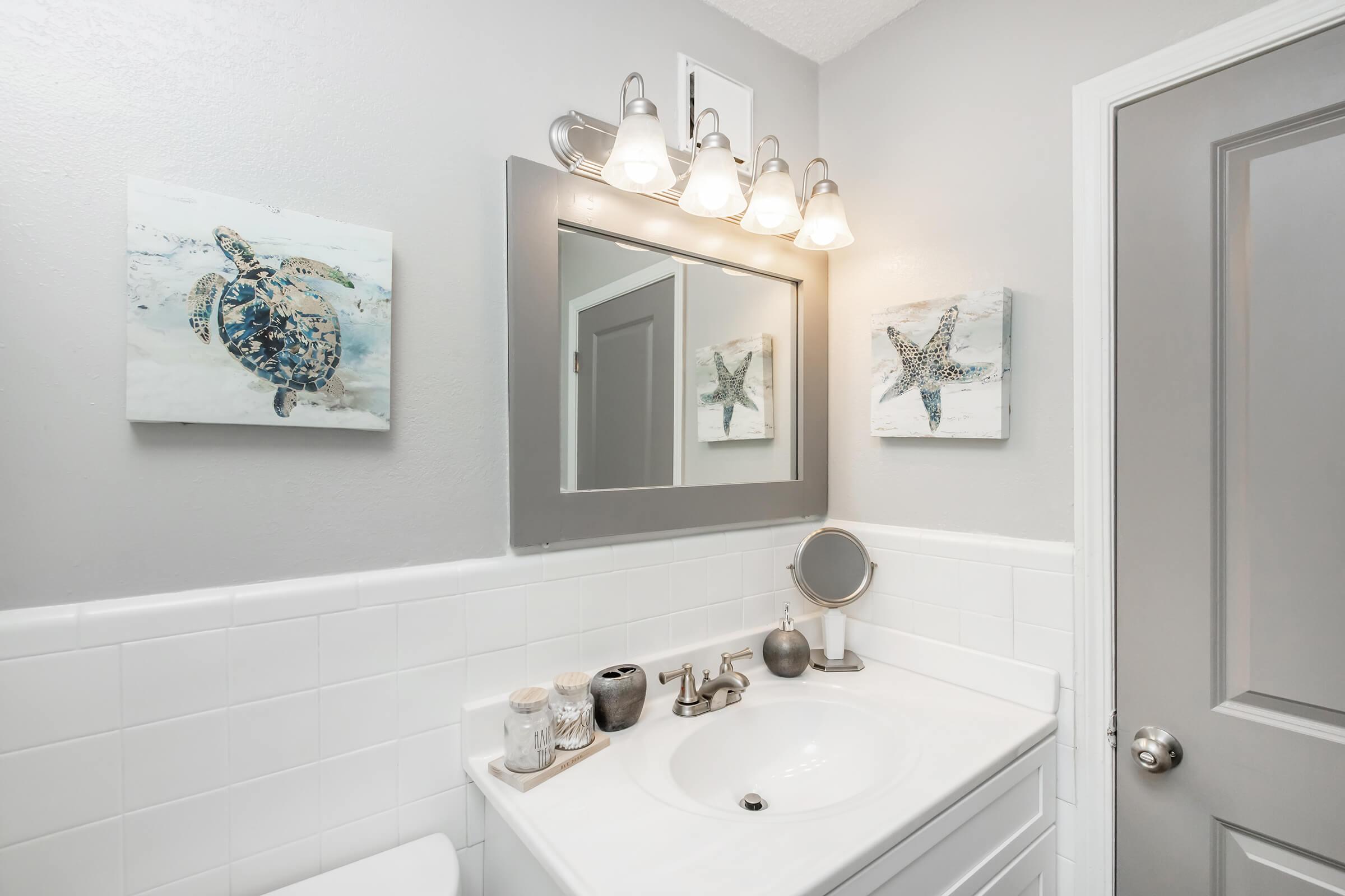 bathroom sink and mirror