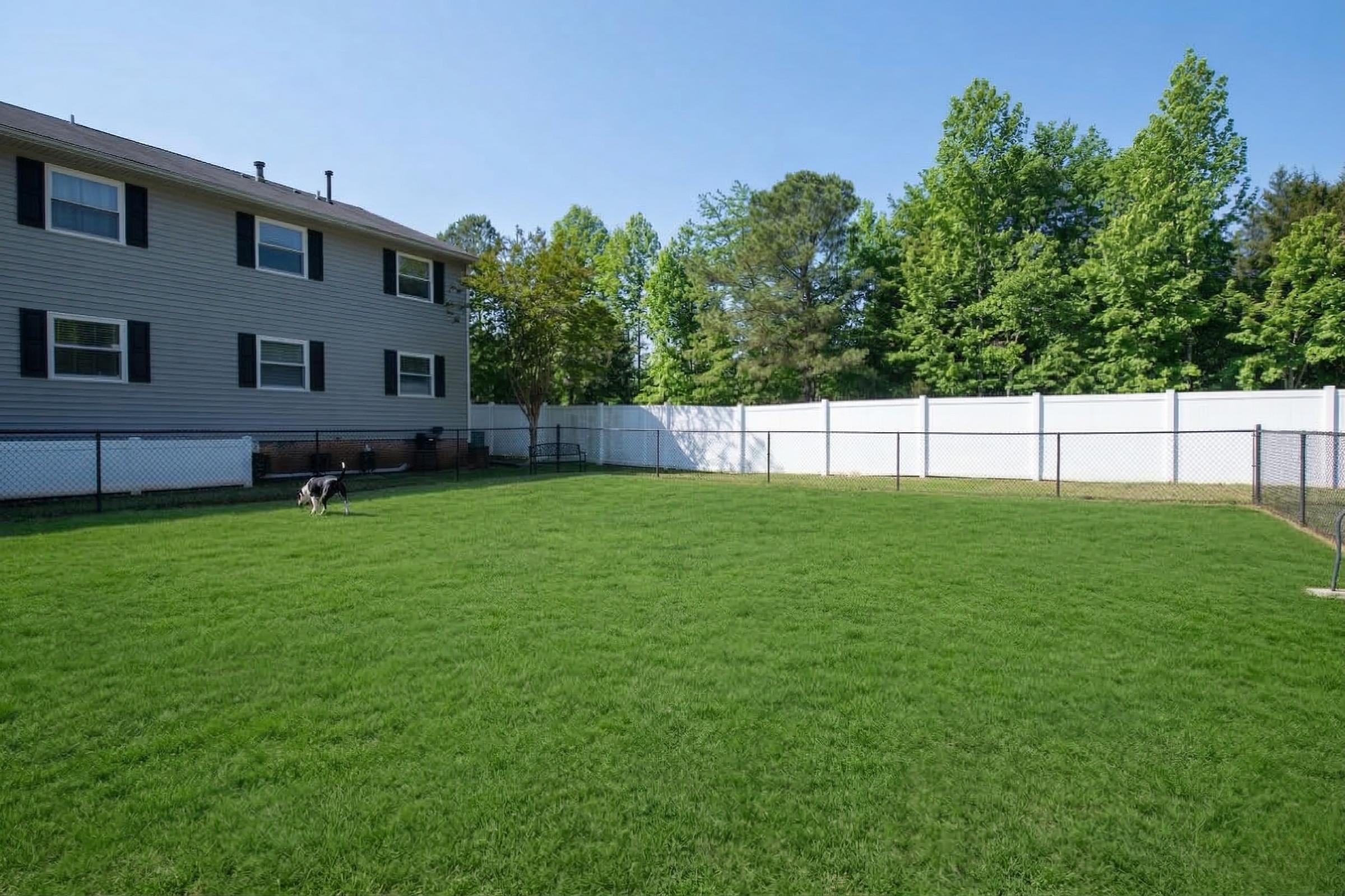 A spacious, well-maintained backyard featuring a lush green lawn. In the background, there is a large gray house with multiple windows. A white fence runs along the perimeter, and several trees provide shade. A dog can be seen exploring the yard, adding a lively touch to the serene outdoor space.