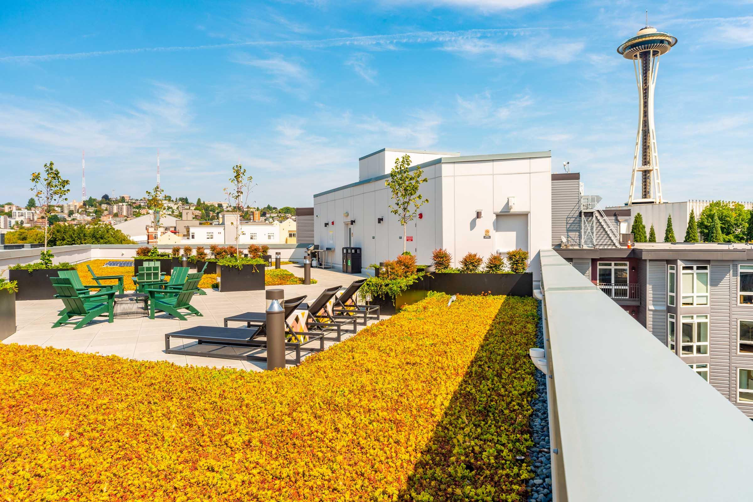 A rooftop garden featuring green lounge chairs, colorful seating, and lush vegetation with a backdrop of the Seattle Space Needle under a clear blue sky. The area showcases a modern urban landscape with well-maintained greenery and vibrant flowers.