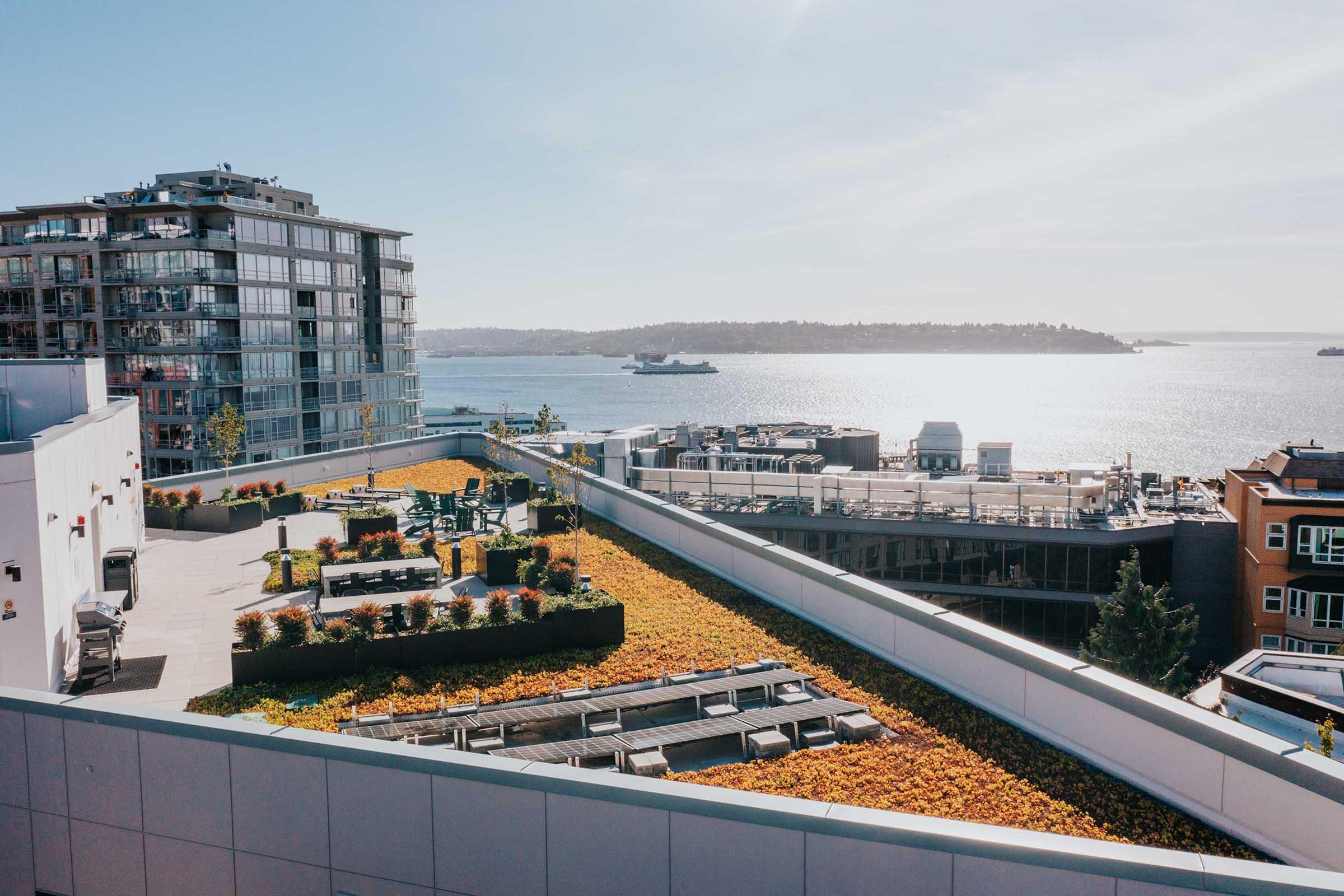 A rooftop garden featuring lush plants and seating areas, overlooking a waterfront scene. In the background, buildings line the shore against a clear blue sky, and a ferry can be seen on the water. The setting is vibrant and serene, with a mix of urban and natural elements.