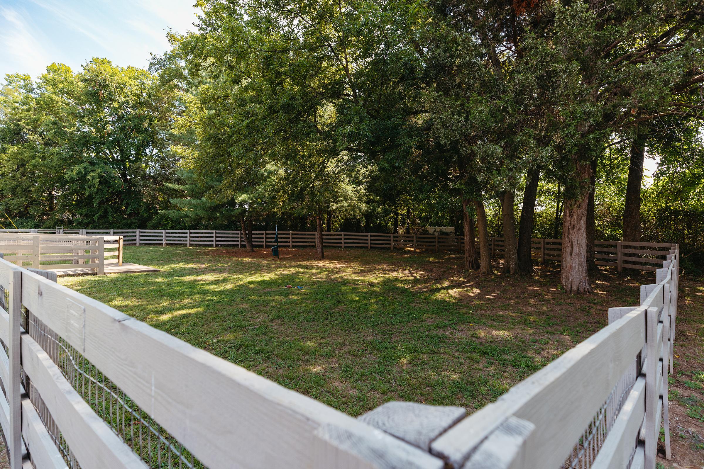 Fenced area with trees.