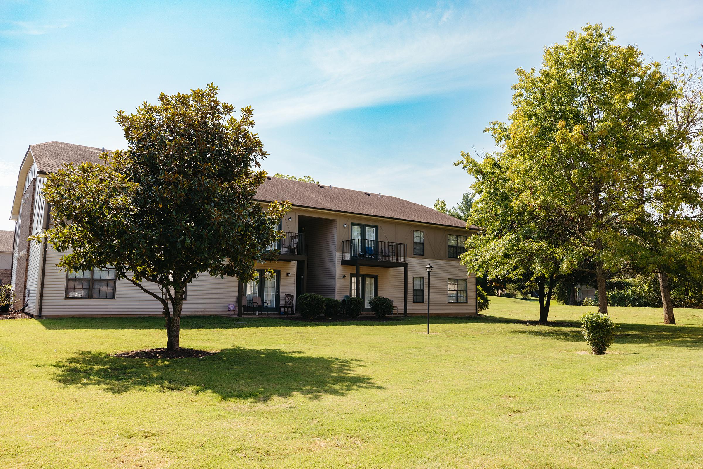 Open landscaping with trees.