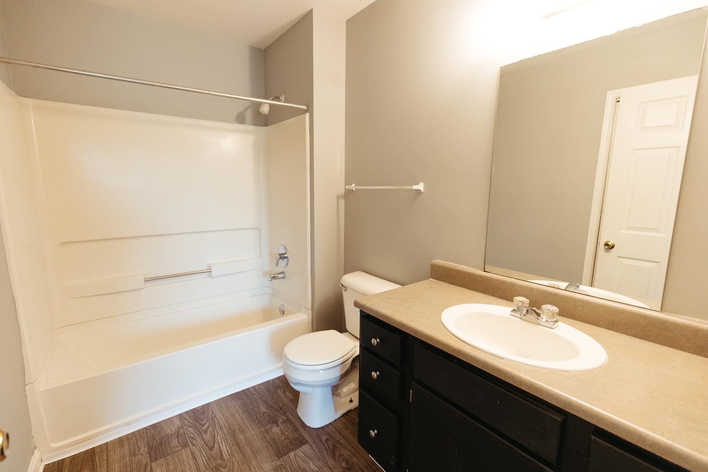 Bathroom with large single sink, toilet, and tub with shower