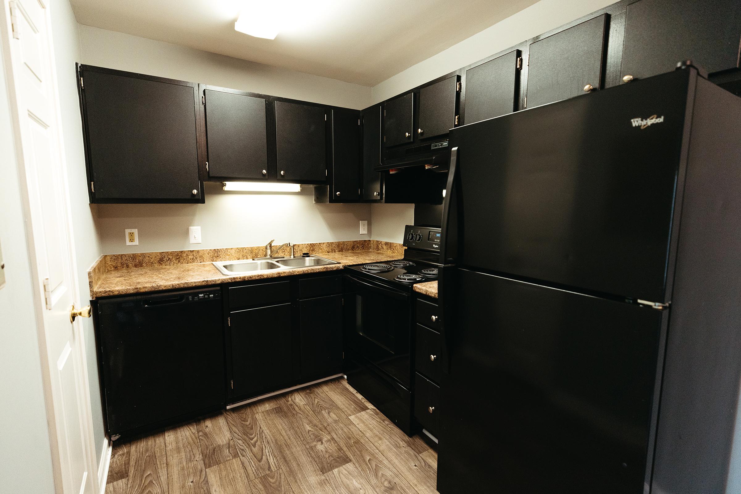 Kitchen interior with black appliances and cabinetry.