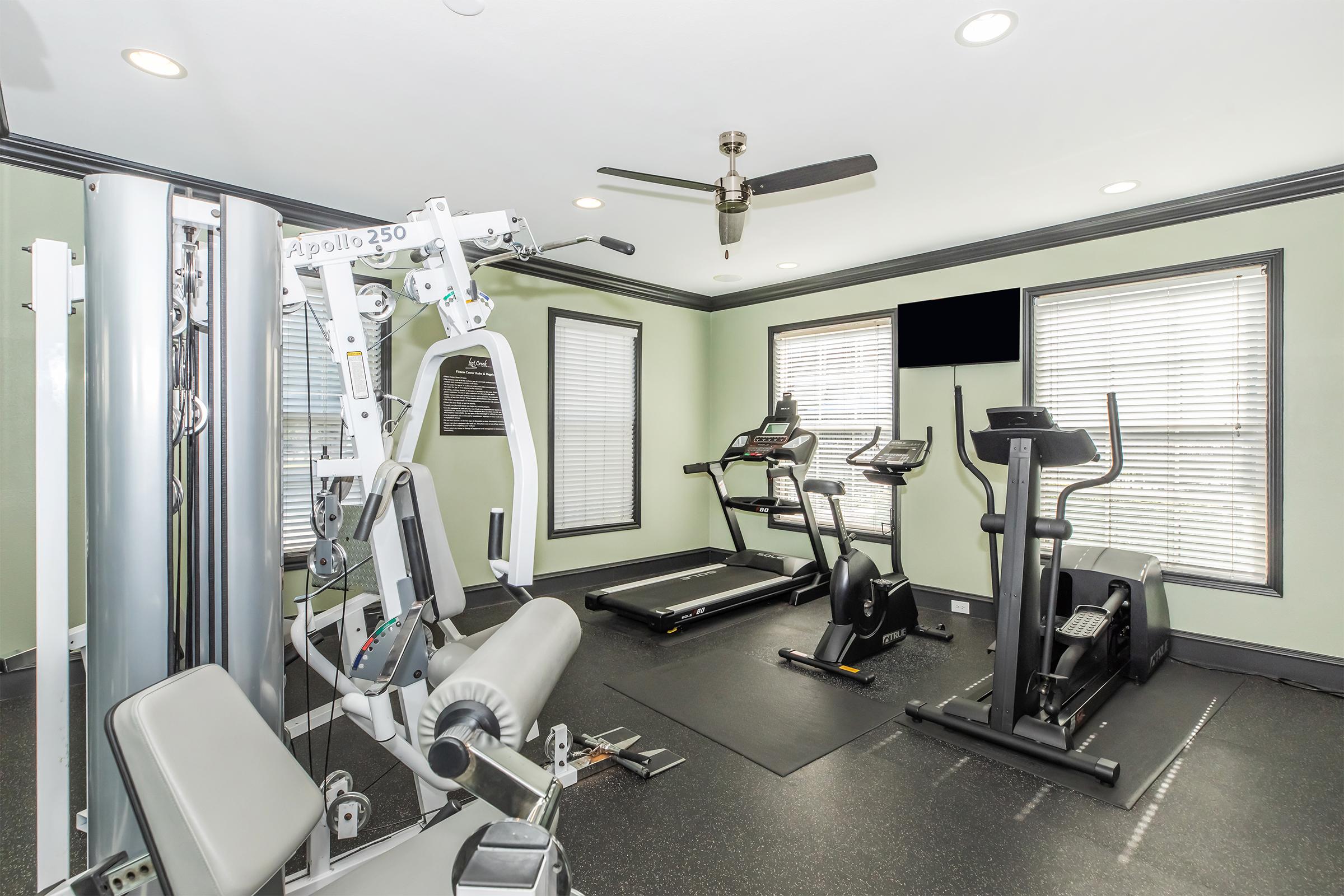 A well-equipped fitness room featuring various exercise machines, including a treadmill, elliptical, and multi-station weight machine. Natural light comes through two large windows with blinds. The walls are painted a soft green color, and there is a ceiling fan and a wall-mounted TV.