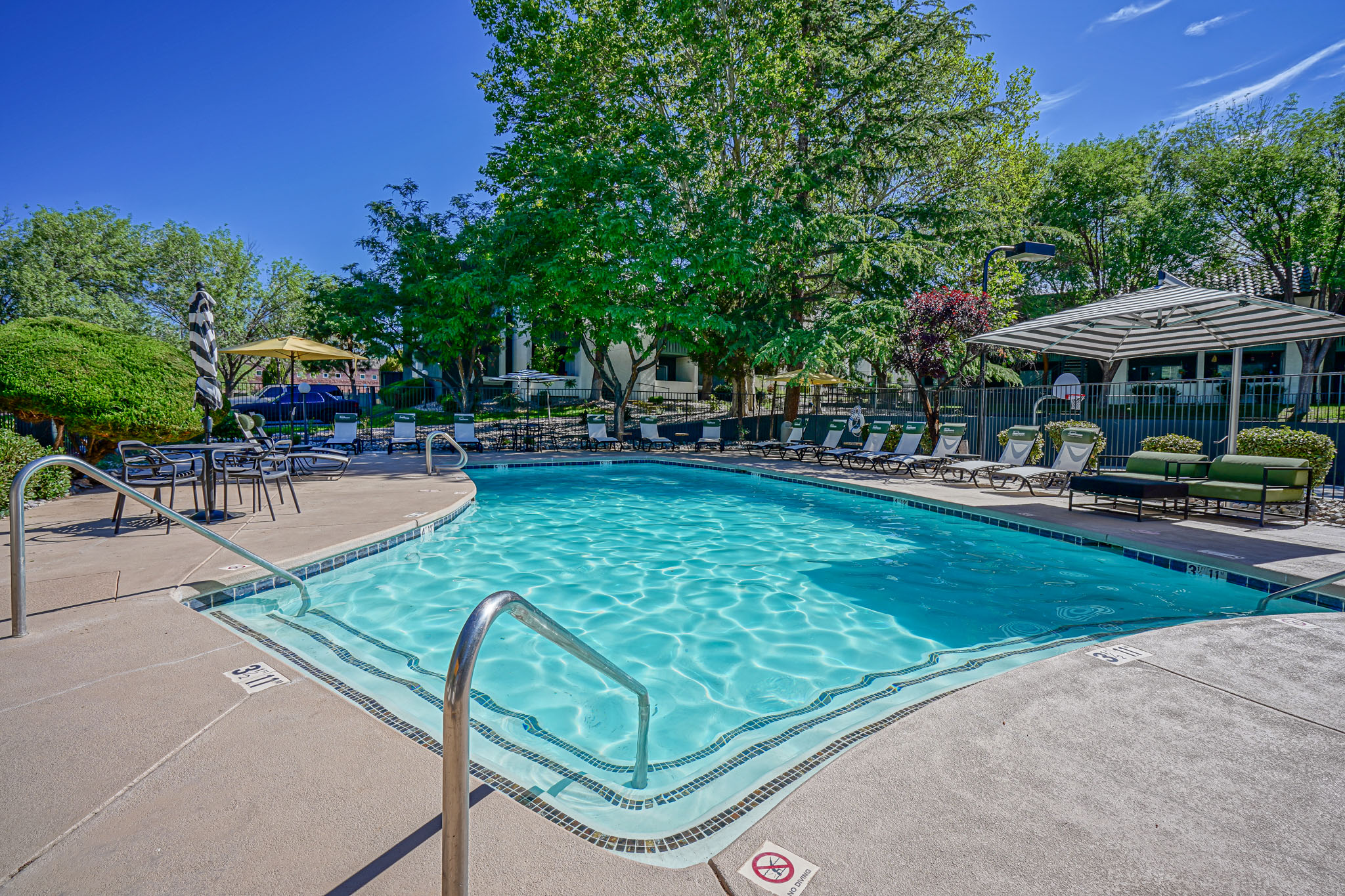Swimming pool with resort-style furniture at Treehouse Apartments in Albuquerque, New Mexico