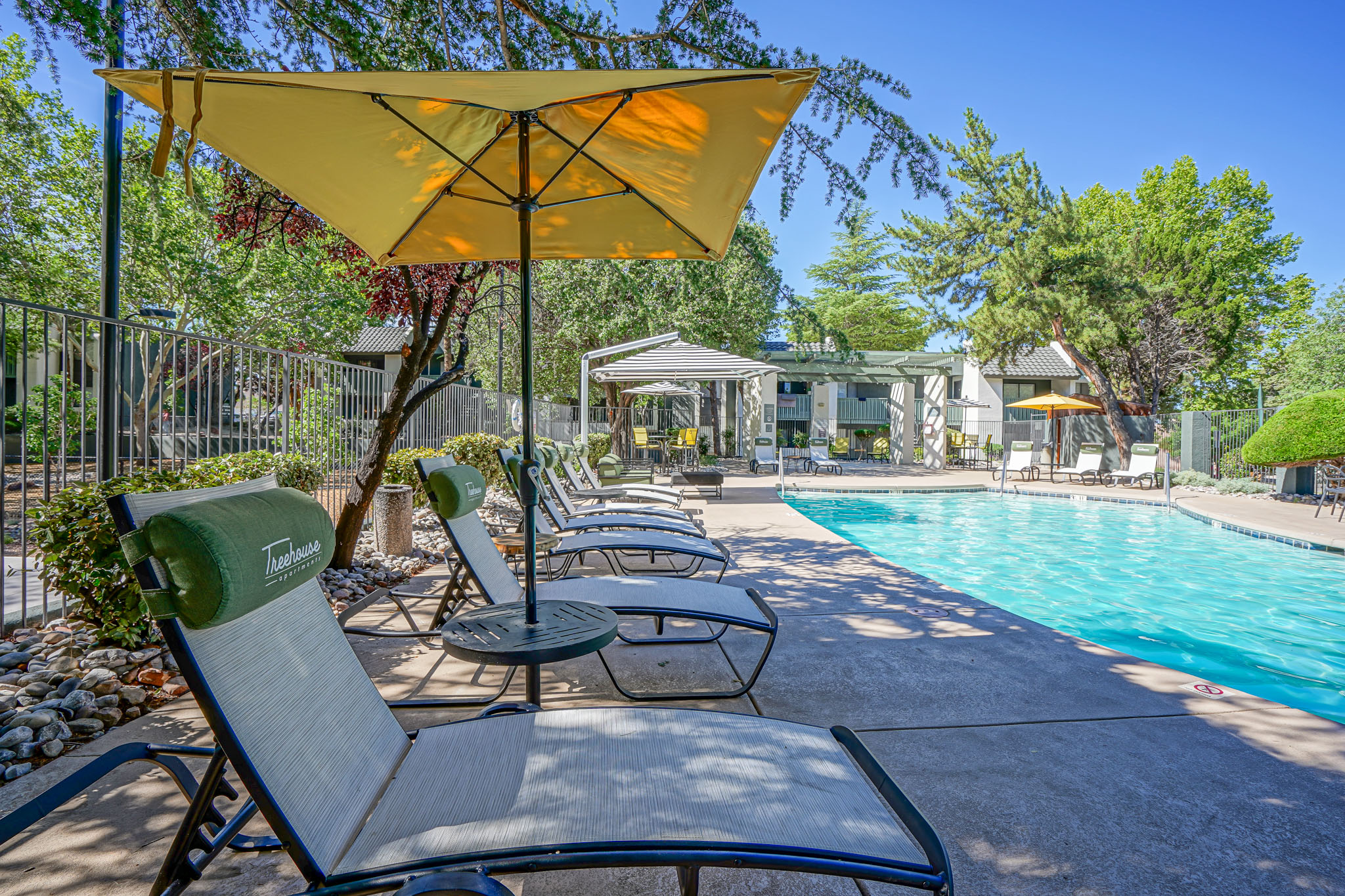 Poolside lounge with resort-style furniture at Treehouse Apartments in Albuquerque, New Mexico