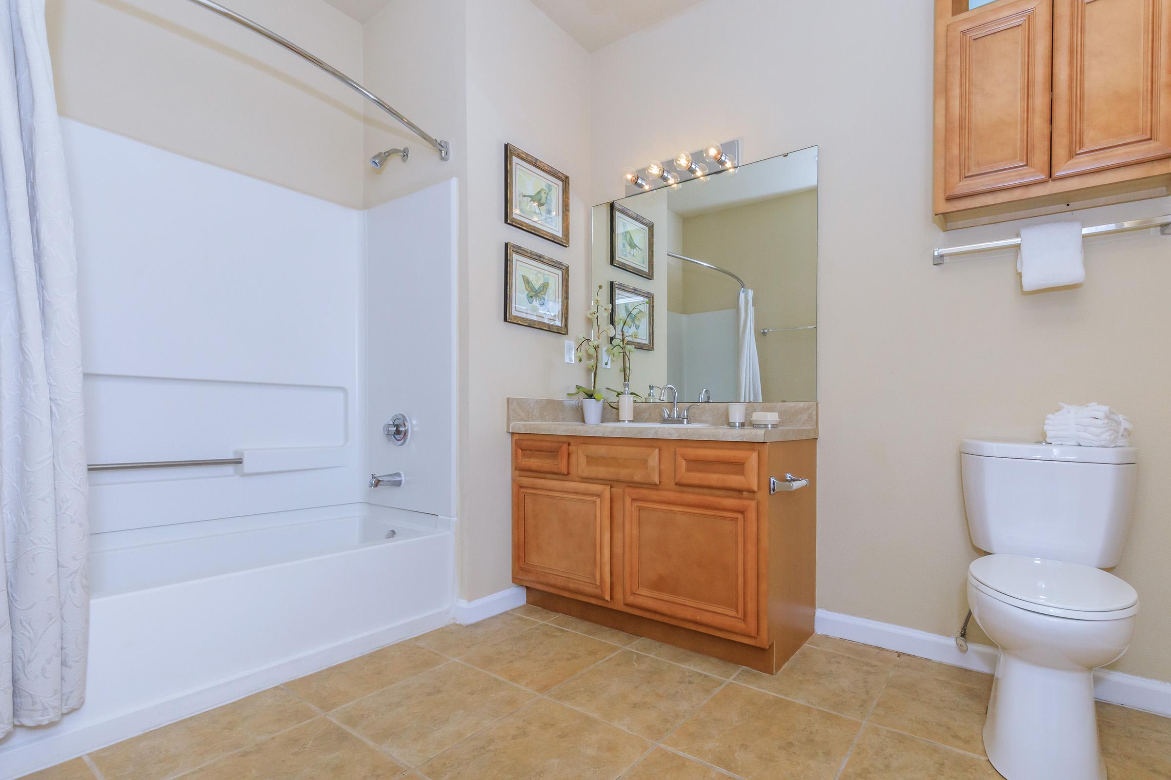 A clean and modern bathroom featuring a white bathtub with a shower, a wooden vanity with sink and mirror above, and a toilet. The walls are painted in a soft color, and there are two framed nature-themed pictures above the vanity. Bath towels are neatly arranged.