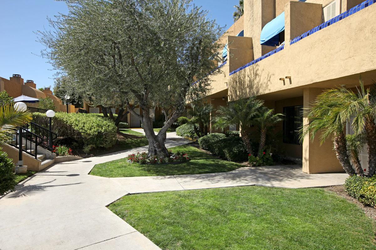 a path with trees on the side of a building