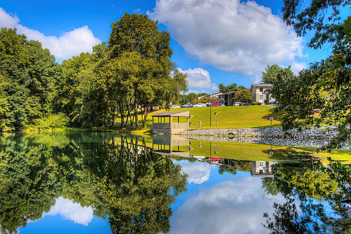 a body of water surrounded by trees
