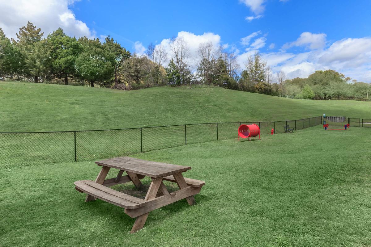 a wooden bench sitting on top of a lush green field