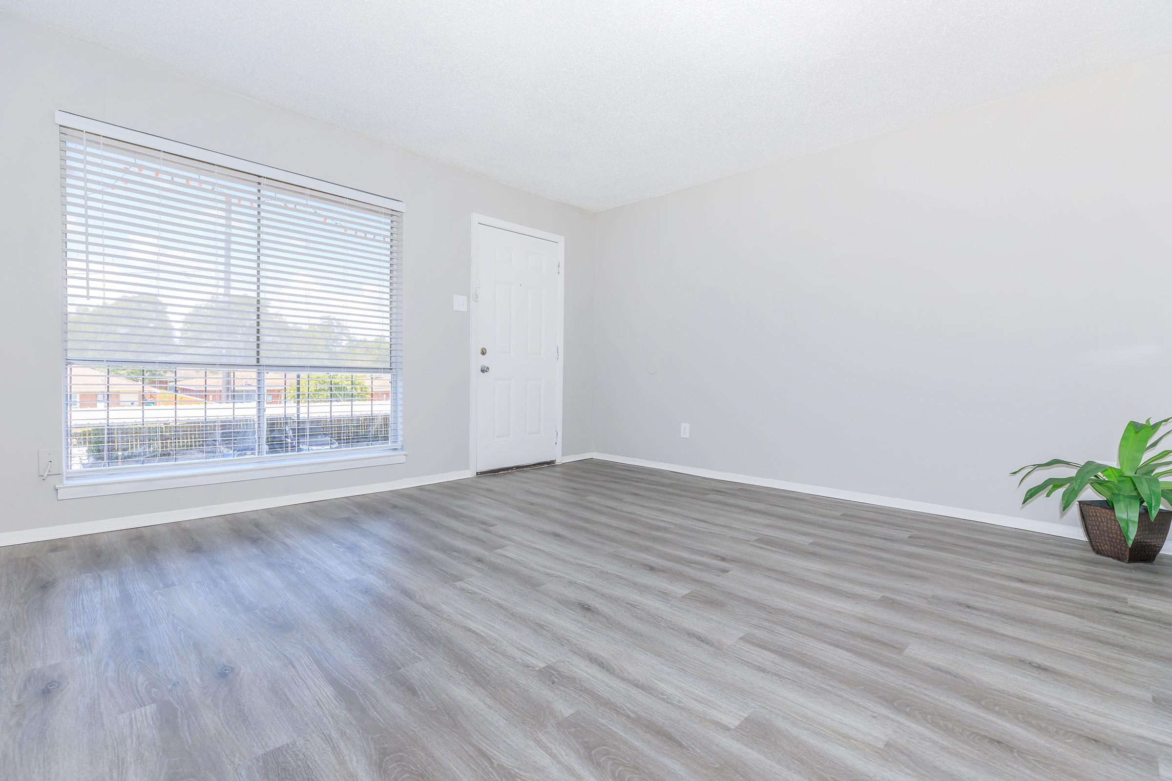 A bright, empty room featuring light gray walls and laminate flooring. A large window with blinds allows natural light to fill the space, while a small potted plant sits in the corner. The entrance door is visible, adding to the room's open and spacious feel.