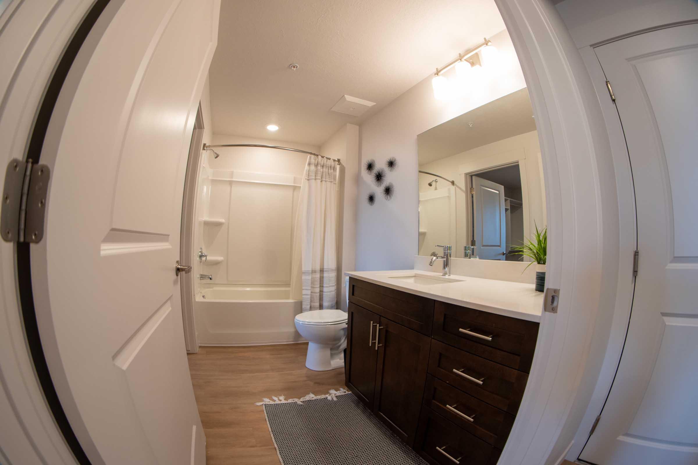 A modern bathroom featuring a shower and bathtub combo, a white toilet, a dark wood vanity with a sink, and a mirror. Bright lighting from above enhances the space, which has light-colored walls and a decorative plant on the countertop. The floor is covered with a textured rug. 