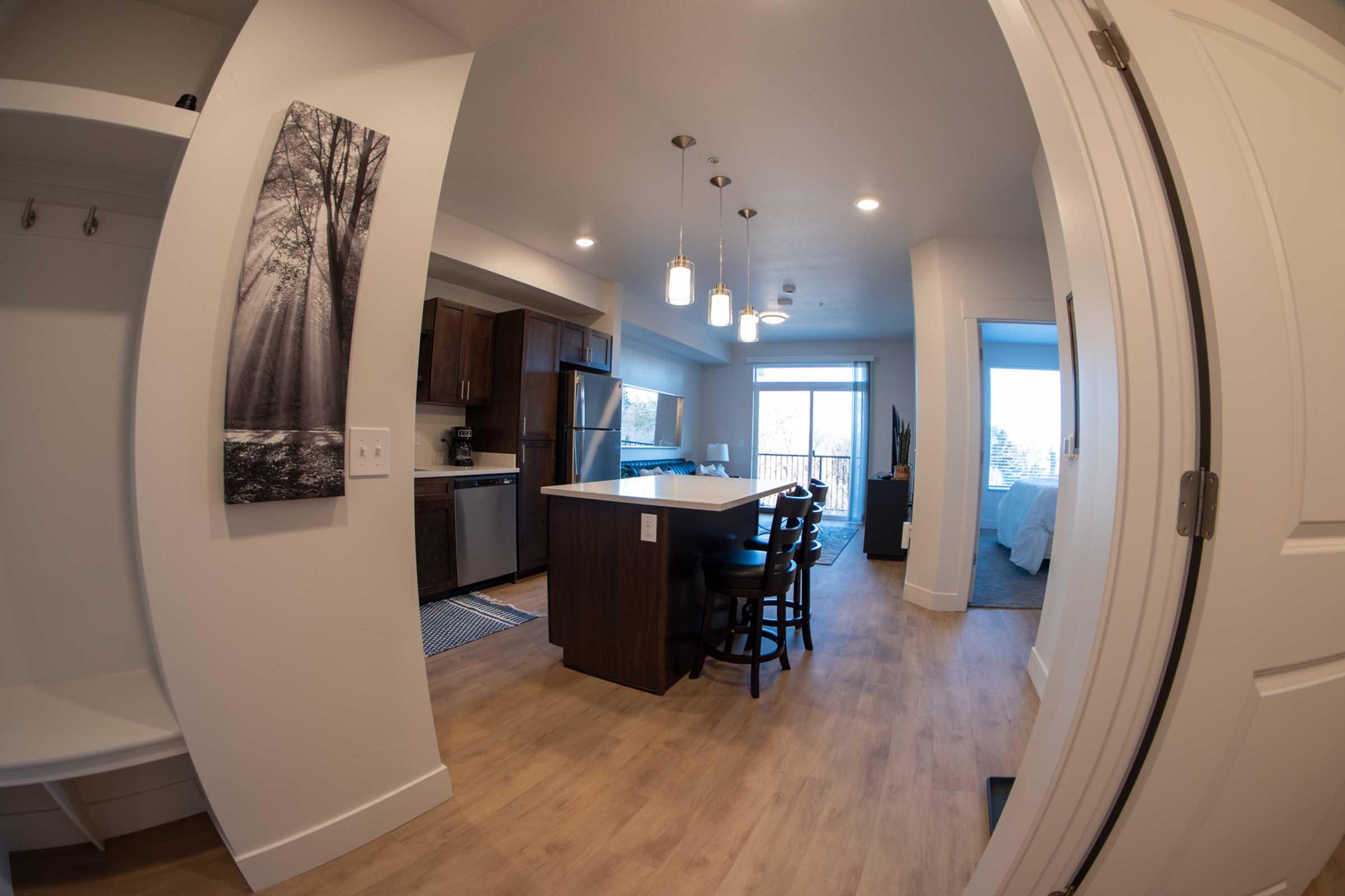 A modern, open-concept kitchen and living area featuring a white island with dark wooden stools. The kitchen is equipped with stainless steel appliances and dark cabinetry. A large window allows natural light into the space, with a view of a bedroom in the background. Walls are painted softly, and a nature-themed artwork is displayed.