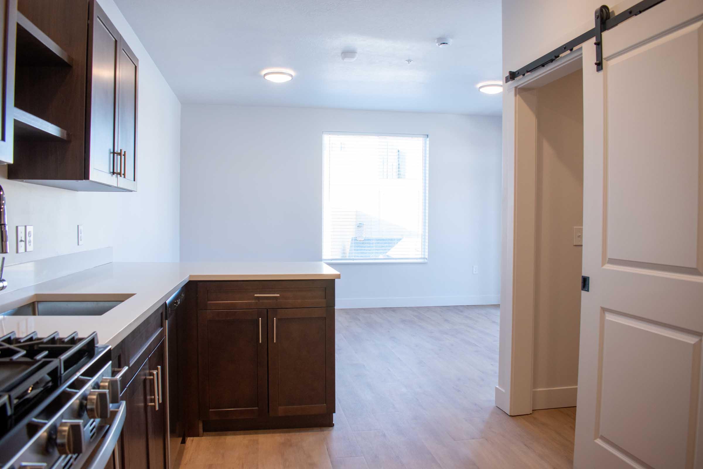 Modern kitchen area with dark wood cabinetry, a white countertop, and stainless steel appliances. There is a view into a bright, empty living space with light-colored walls and a large window. A sliding door is partially visible on the right, leading to another area. The flooring is light wood.