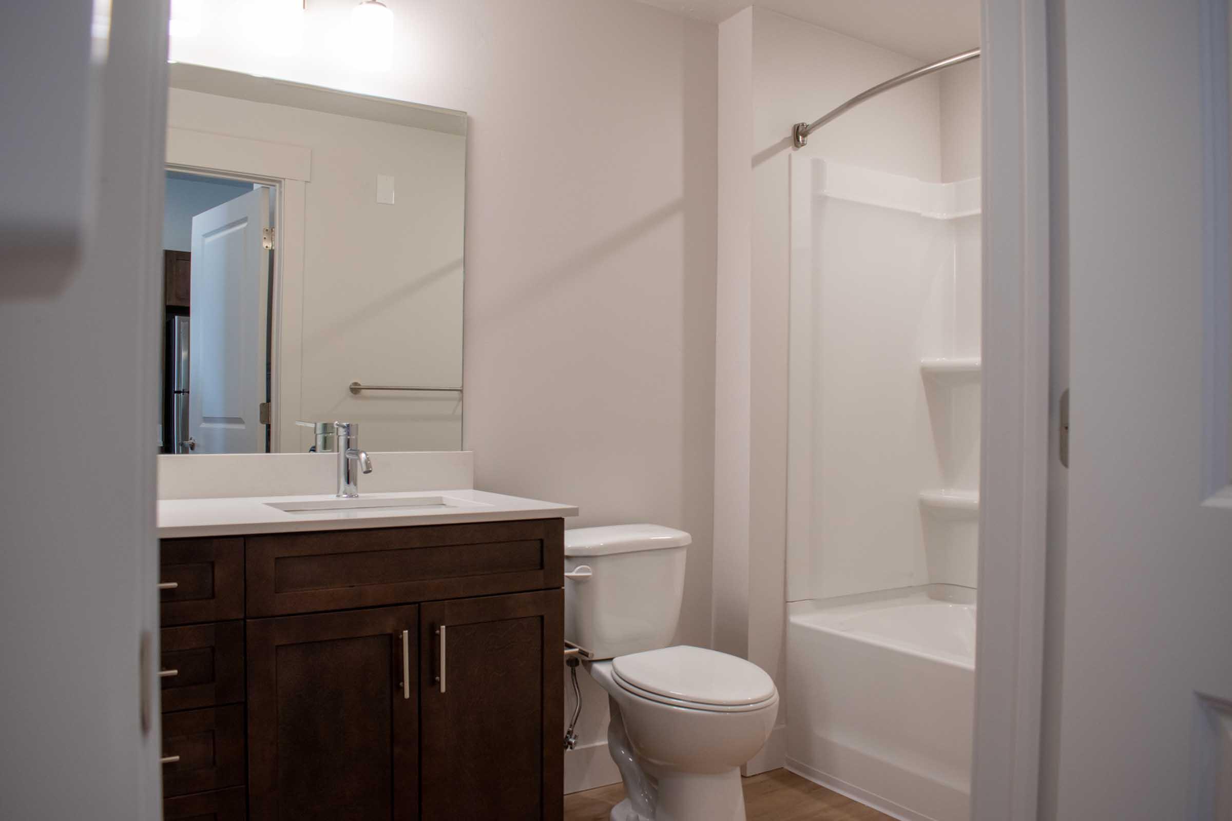 A modern bathroom featuring a white shower and tub combination, a dark wood vanity with a sink, and a toilet. The walls are painted light, and there is a small mirror above the sink with overhead lighting. The flooring is light-colored, creating a clean and bright atmosphere.