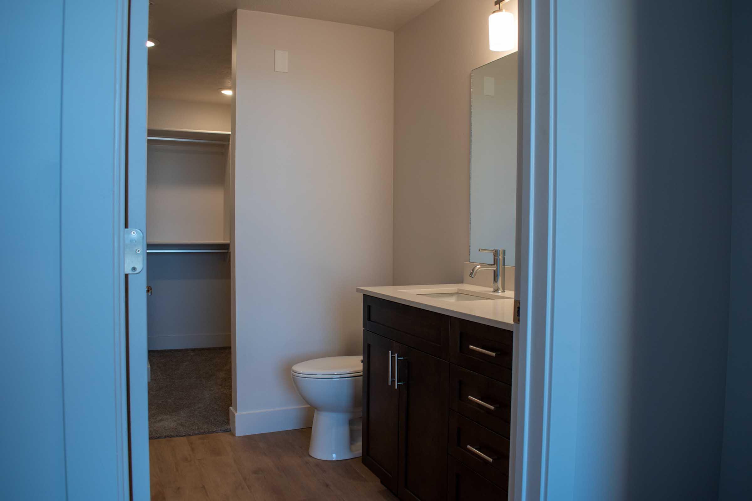 A well-lit bathroom featuring a modern vanity with a sink, a large mirror, and a toilet. The room has light-colored walls and wooden flooring. To the side, there is an open closet space with no doors, adding to the room's spacious feel.