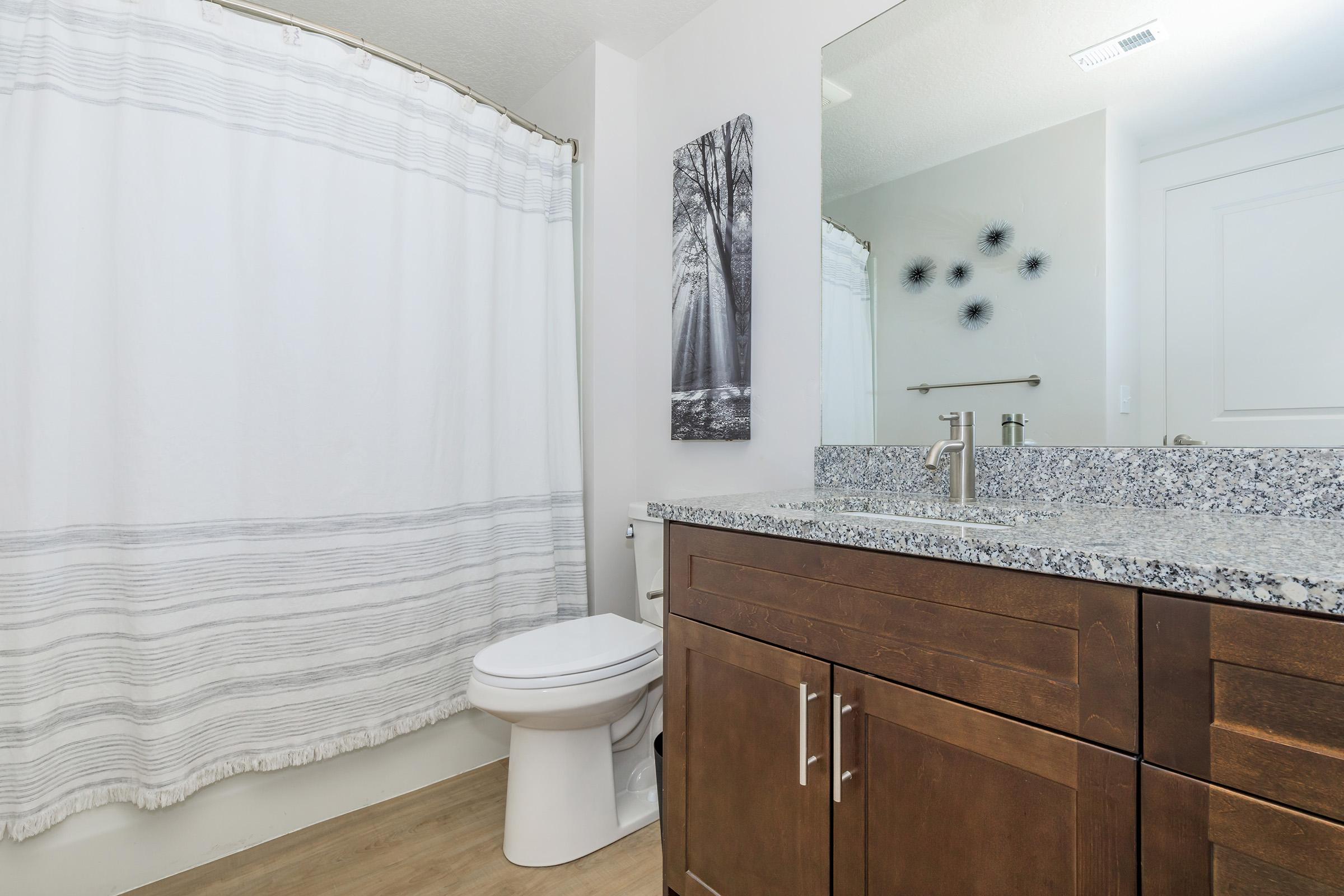 A modern bathroom featuring a white shower curtain, a wooden vanity with a granite countertop, and a white toilet. The wall includes a nature-themed framed picture and decorative wall art, creating a clean and inviting atmosphere. The flooring is light wood, enhancing the overall brightness of the space.