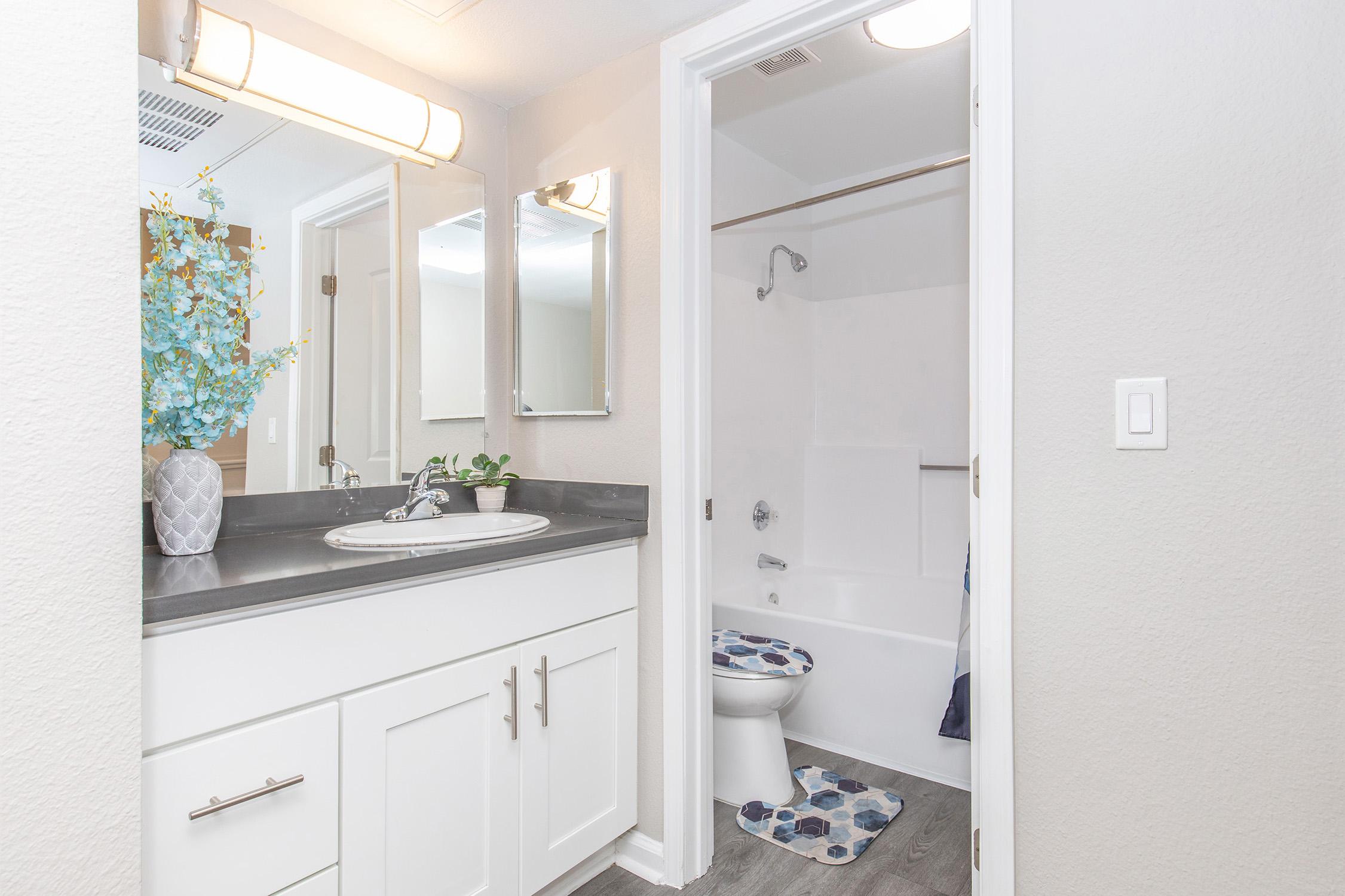 A bright and modern bathroom featuring a gray countertop with a sink, a large mirror, and overhead lighting. The space has white cabinetry, a small potted plant, and a decorative blue floral arrangement. A shower area is visible, along with a white toilet and blue bath mat on the floor.