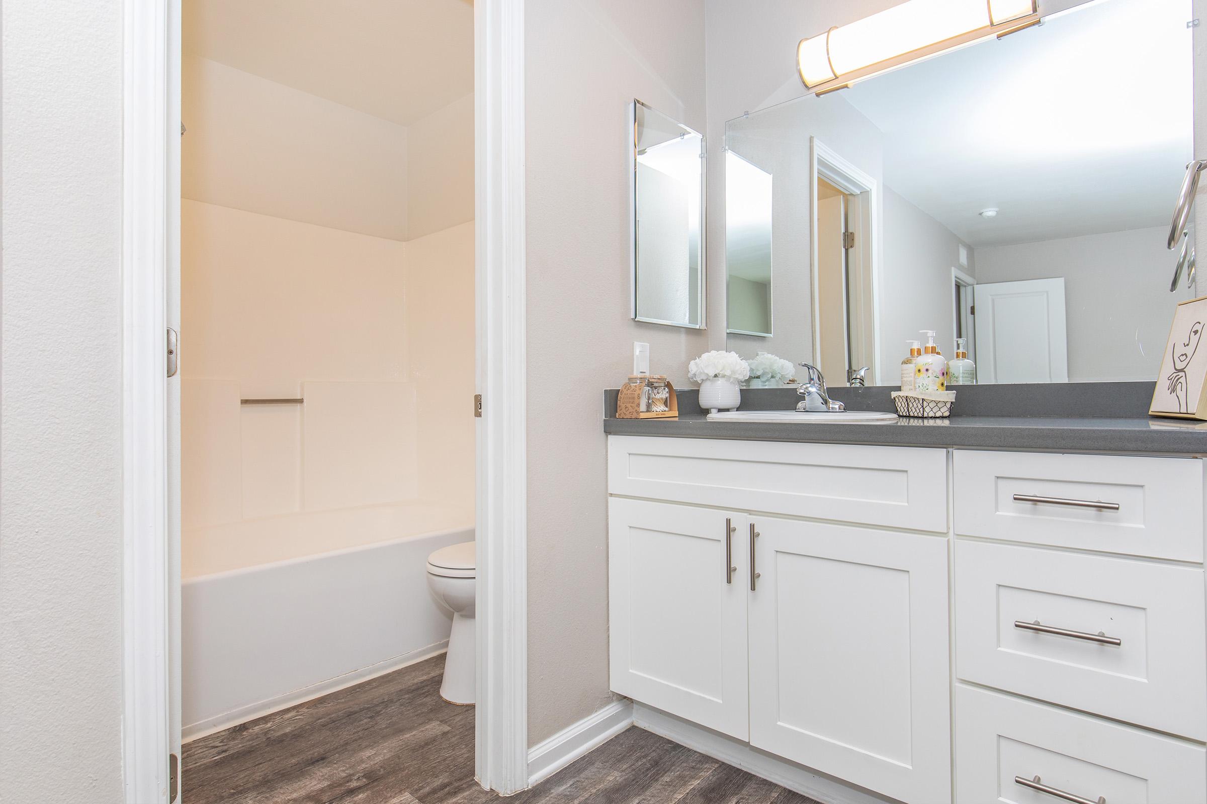 A modern bathroom featuring a white bathtub with a shower, a white vanity with sleek drawers, a large mirror, and stylish lighting. The space has light-colored walls and a dark countertop, with decorative items on the vanity adding a touch of elegance. There’s a clean and spacious feel to the room.