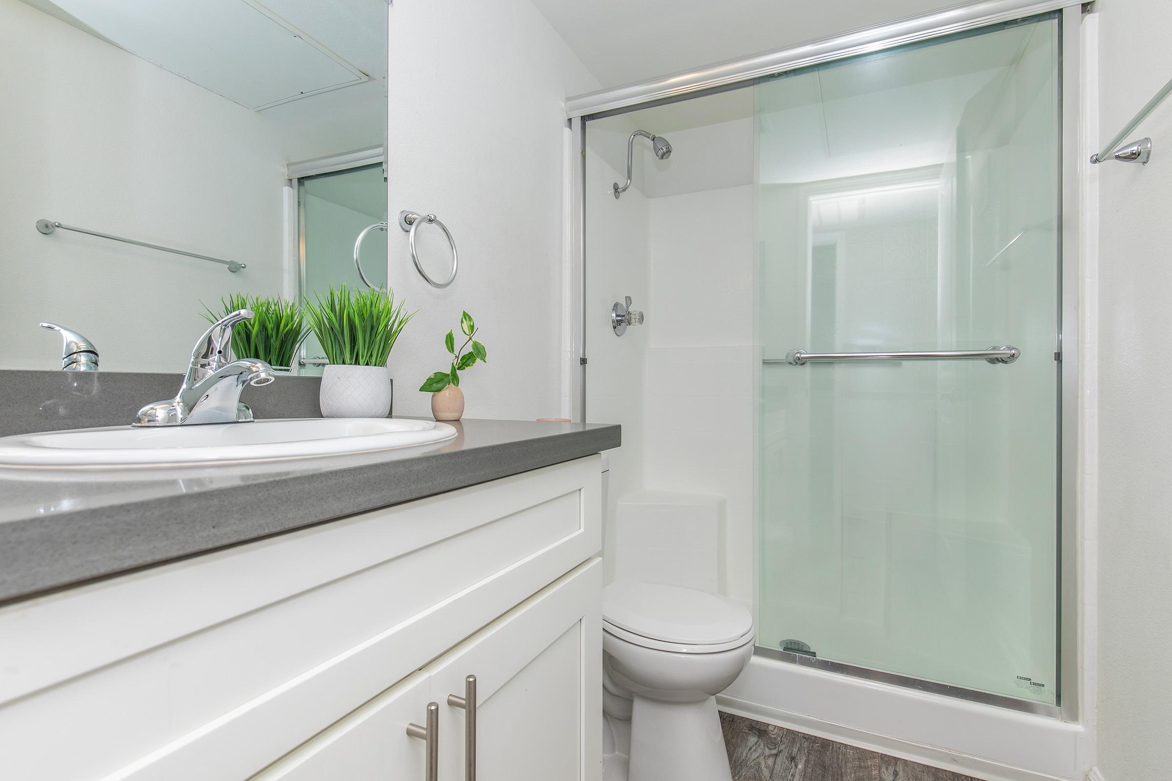 A modern bathroom featuring a glass shower enclosure, white cabinetry, a sink with a faucet, a small potted plant, and a mirror reflecting the space. The flooring is a wood-like laminate, creating a clean and contemporary atmosphere.