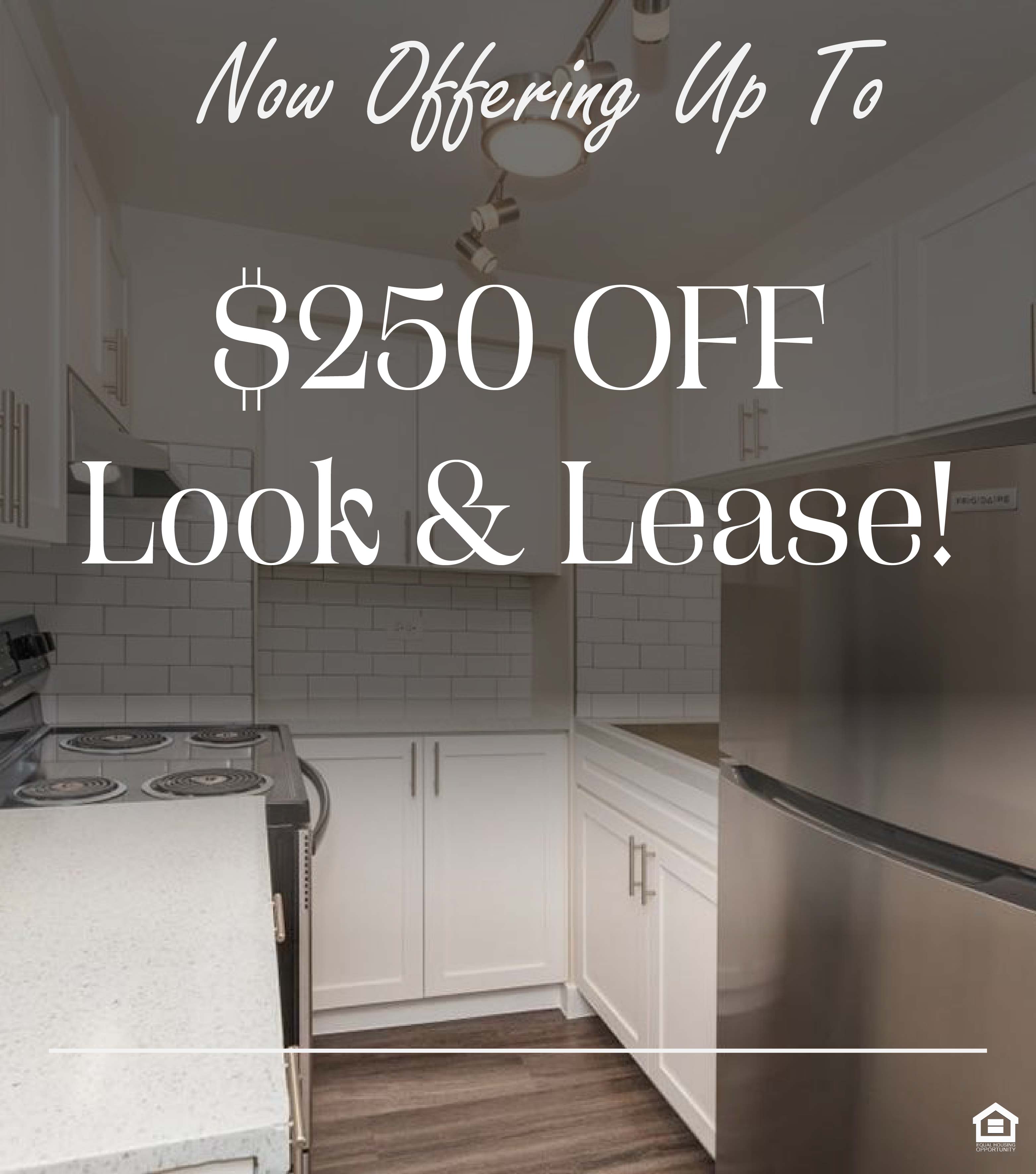 Modern kitchen featuring white cabinetry, a stainless steel refrigerator, a black stove with four burners, and a white countertop. The text on the image says, "Now offering up to $250 off Look & Lease!"