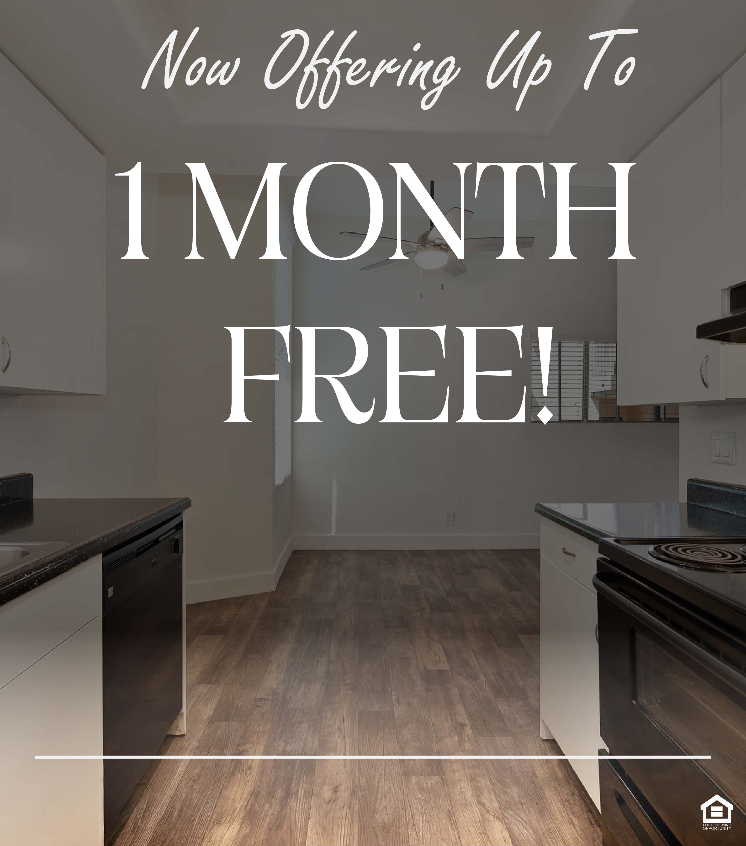 Modern kitchen featuring a black stove and dishwasher, white cabinetry, and a stainless steel sink. The text on the image says, "Now offering up to 1 MONTH FREE!"