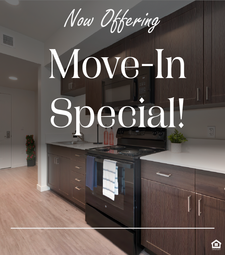 Modern kitchen featuring dark wood cabinets, stainless steel appliances, and a white countertop. Includes a black stove, a microwave, and a stylish faucet. The floor is light-colored wood, and there’s a small plant and decorative items on the counter. The entry door is partially visible on the left. The text on the image says, "Now offering move-in special!"