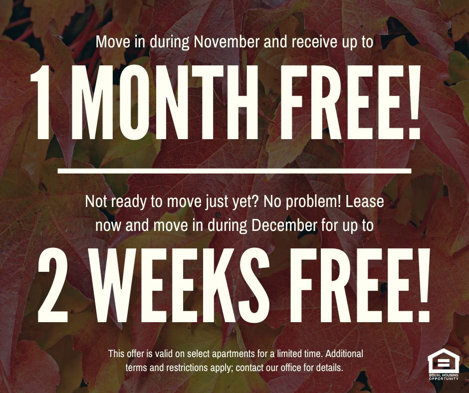 Move in during November and receive up to 1 MONTH FREE! Not ready to move just yet? No problem! Lease now and move in during December for up to 2 WEEKS FREE! This offer is valid on select apartments for a limited time. Additional terms and restrictions apply; contact our office for details. Equal Housing Opportunity.