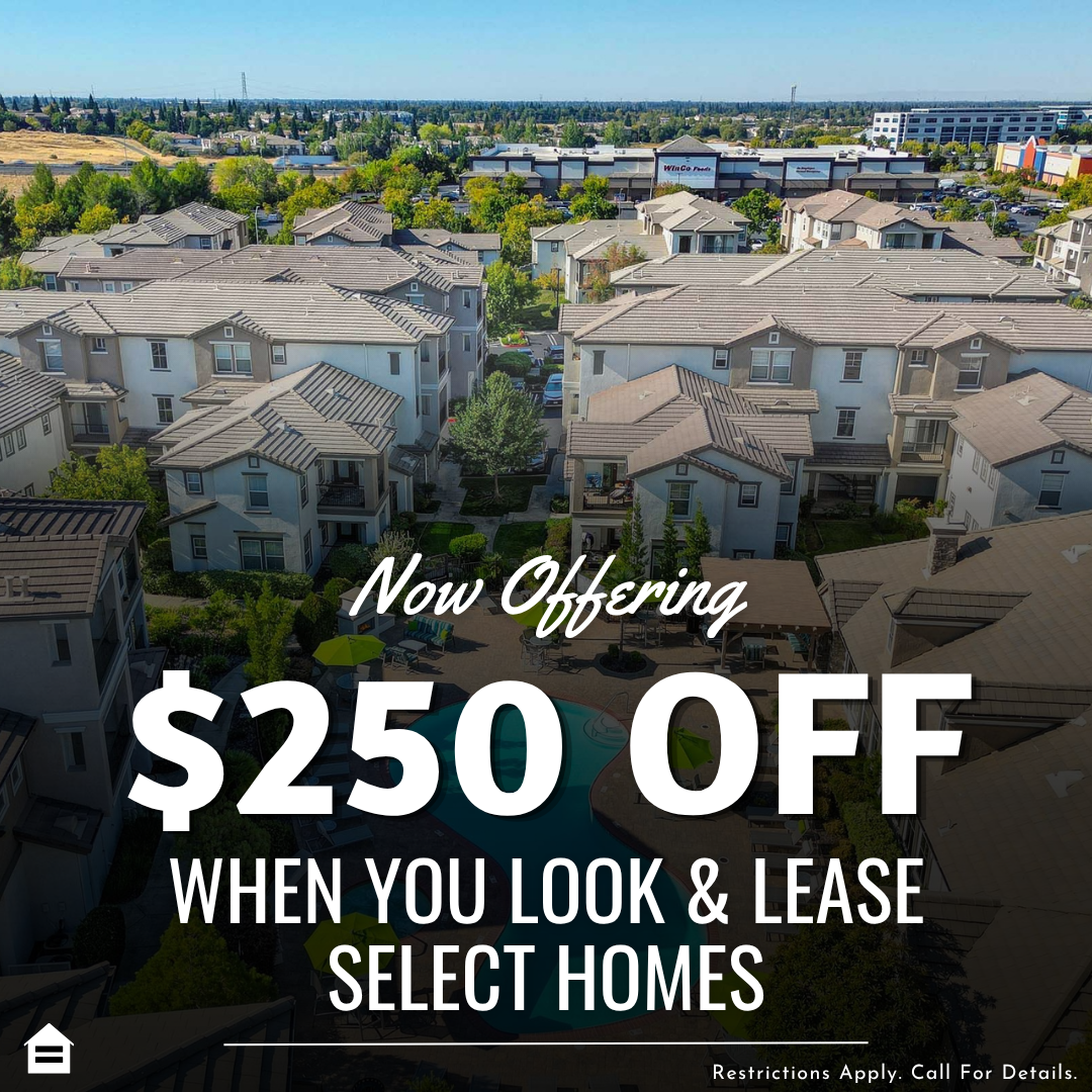 Aerial view of an apartment complex featuring multiple buildings and a central pool area. Large white text overlaid on the image reads "Now Offering $250 OFF WHEN YOU LOOK & LEASE SELECT HOMES". Small text at the bottom right says "Restrictions Apply. Call For Details." next to an Equal Housing Opportunity logo in the bottom left corner.