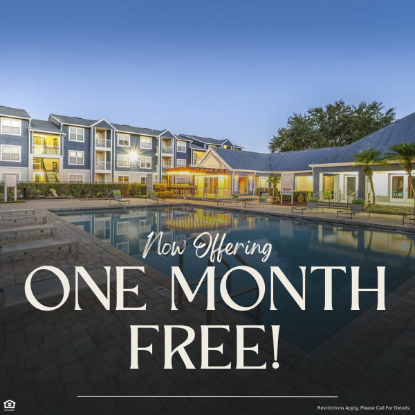 Picture of an apartment pool. Now offering one month free! Restriction may apply, please call for details.