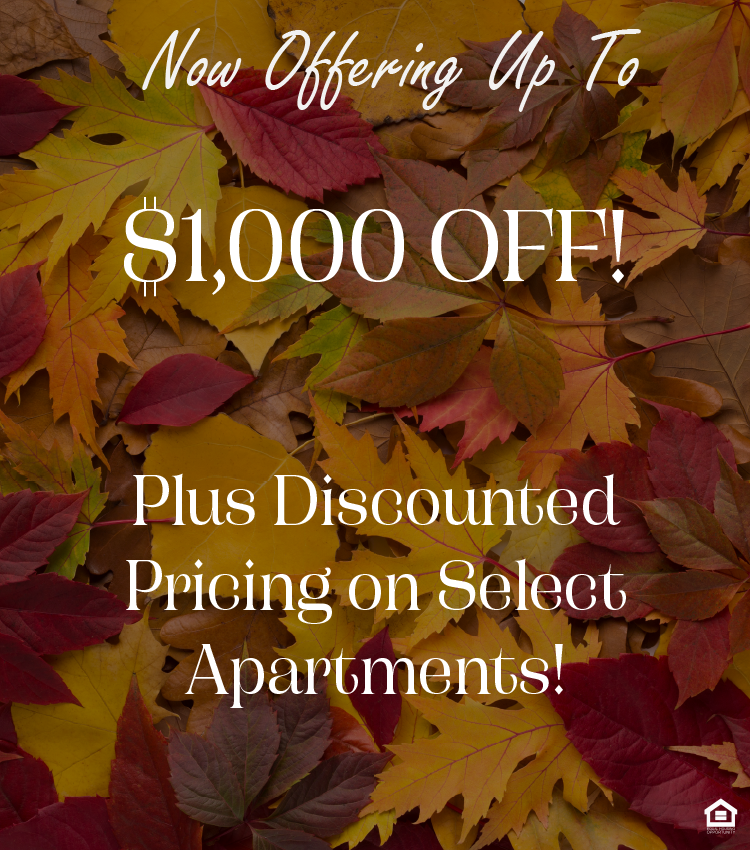 Overlapping autumn leaves in vivid yellow, orange, brown, green, and red tones. The text on the image says, "Now offering up to $! Plus discounted pricing on select apartments!"