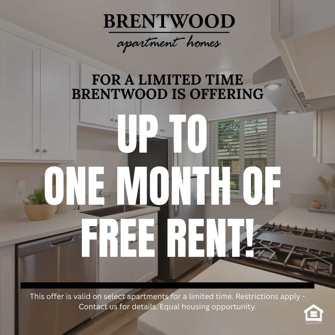 Modern kitchen featuring white cabinetry a stainless steel refrigerator a sink and a stove with a hood The countertop is light colored and there's a window allowing natural light and a view of greenery outside Soft lighting illuminates the space creating a clean and inviting atmosphere text reads for a limited time brentwood is offering up to one month free rent  This offer is valid on select apartments for a limited time Restrictions apply  Contact us for details Equal housing opportunity.