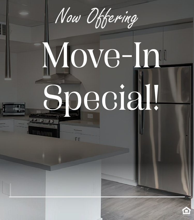 Modern kitchen interior featuring white cabinetry, a sleek black stove, and gray countertops. The room is well-lit with natural light from a nearby window and a glass door, leading to an outdoor space. The text on the image says, "Now Offering Move-In Special!."
