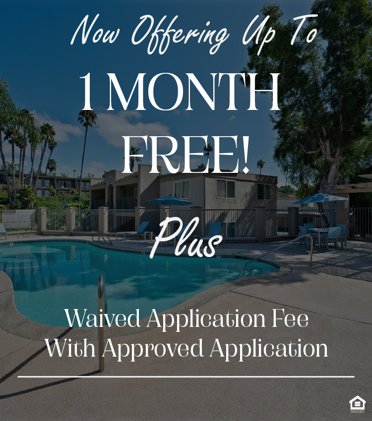 A sunny pool area surrounded by palm trees, featuring a curved swimming pool with clear blue water. Lounge chairs with umbrellas are set up around the pool, and there are several buildings in the background, all under a bright blue sky. The text on the image says, "Now offering up to 1 month free! Plus waived application fee with approved application."