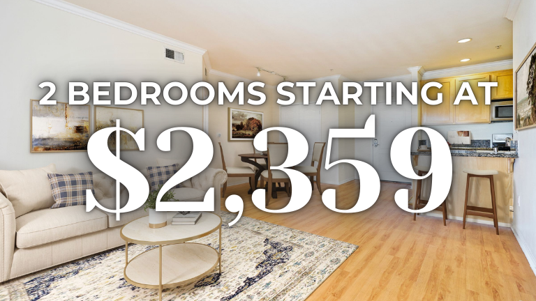 Visconti DTLA Special