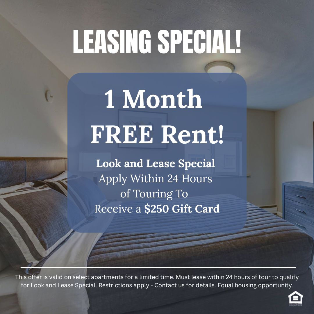 A cozy bedroom featuring a queen-sized bed with gray bedding, a bedside lamp, and a framed artwork on the wall text reads leasing special 1 month free rent look and lease special apply within 24 hours of touring and receive a $250 gift card  his offer is valid on select apartments for a limited time Must lease within 24 hours of tour to qualify for Look and Lease Special Restrictions apply  Contact us for details Equal housing opportunity.