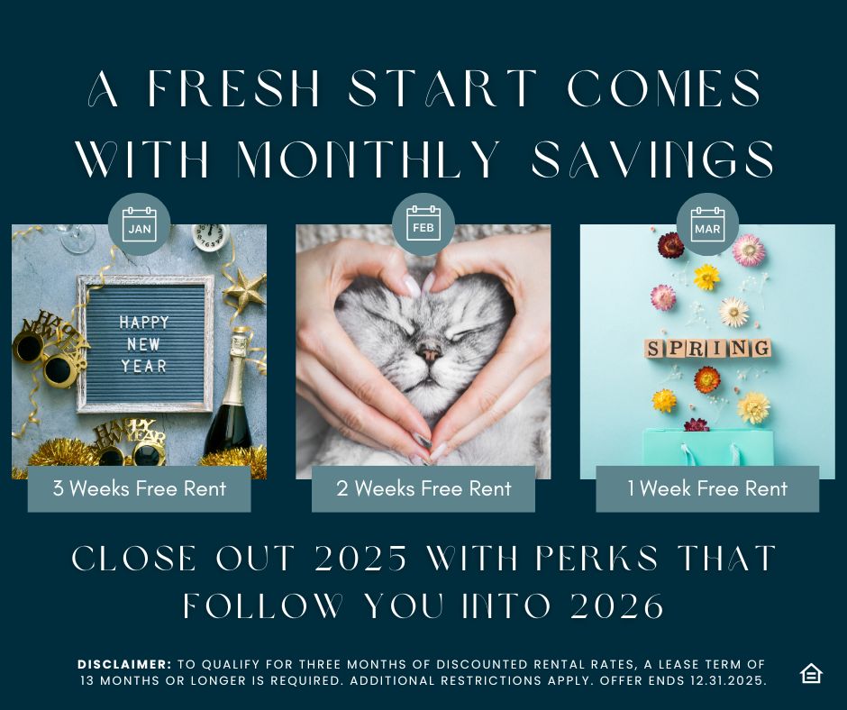 Violet on Broadway graphic promotion featuring a New Year scene offering three weeks free in January, a heart around a cat offering two weeks free in February, and spring flowers with a tote offering one week free in March.