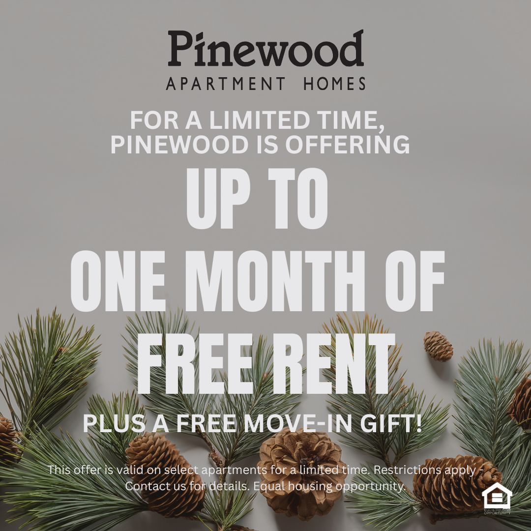 Grey background with pinecones and tree branches at the bottom of the photo offering a holiday/winter feeling image reads For a limited time Pinewood is offering up to one month of free rent plus a free move in gift This offer is valid on select apartments for a limited time Restrictions apply Contact us for details Equal housing opportunity