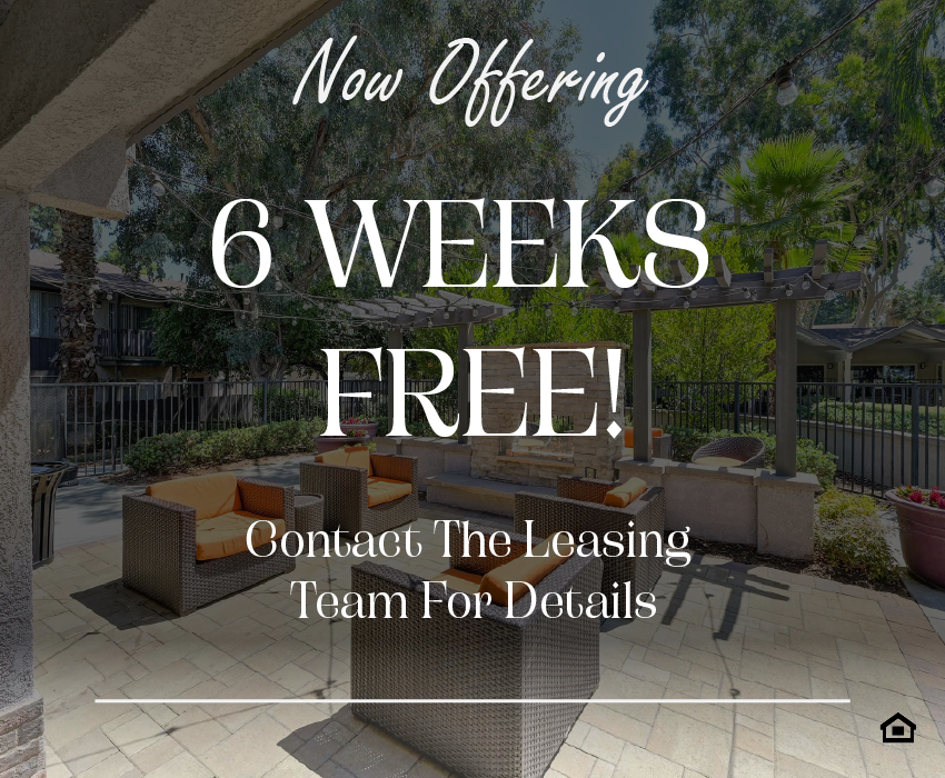 Chairs around an outdoor fireplace. The text on the image says, "Now offering 6 weeks free! Contact the leasing team for details."