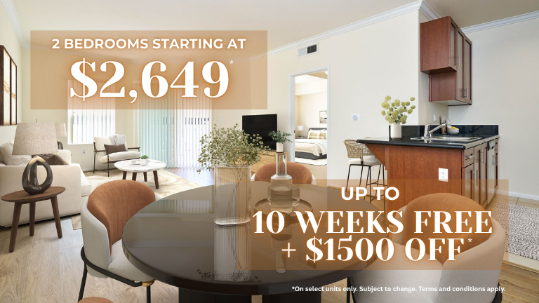 Da Vinci Apartments Special