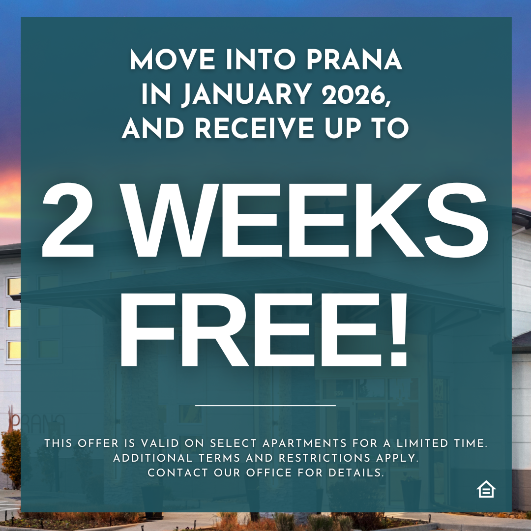 Promotional graphic for Prana apartments offering “2 weeks free” for January 2026 move-ins. Large bold white text appears on a teal overlay with a modern apartment building faintly visible in the background. Fine print at the bottom states that the offer applies to select units for a limited time and that terms and restrictions apply. An equal housing icon is shown in the lower right corner.